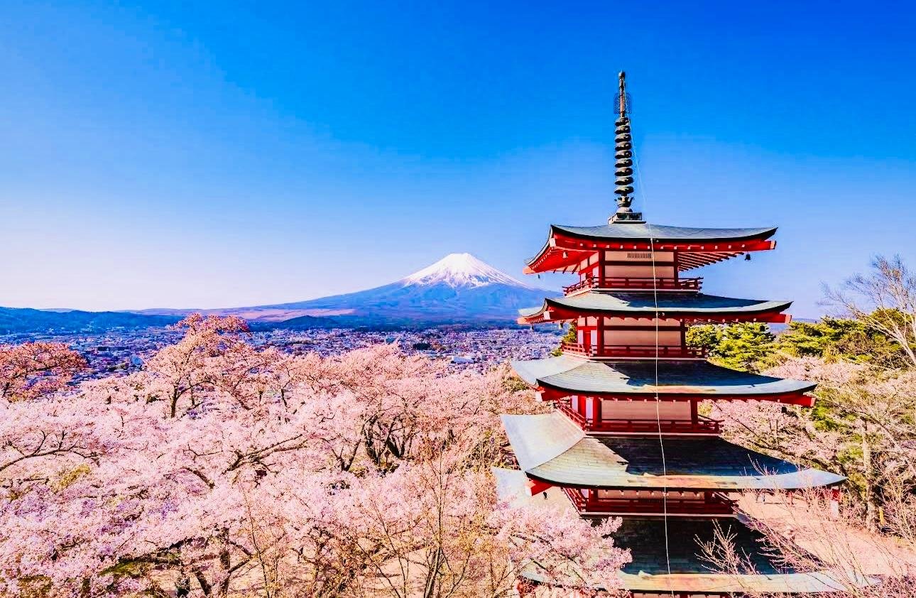 Tokyo to Mt. Fuji Private Luxury Day Tour with Hotel Pickup