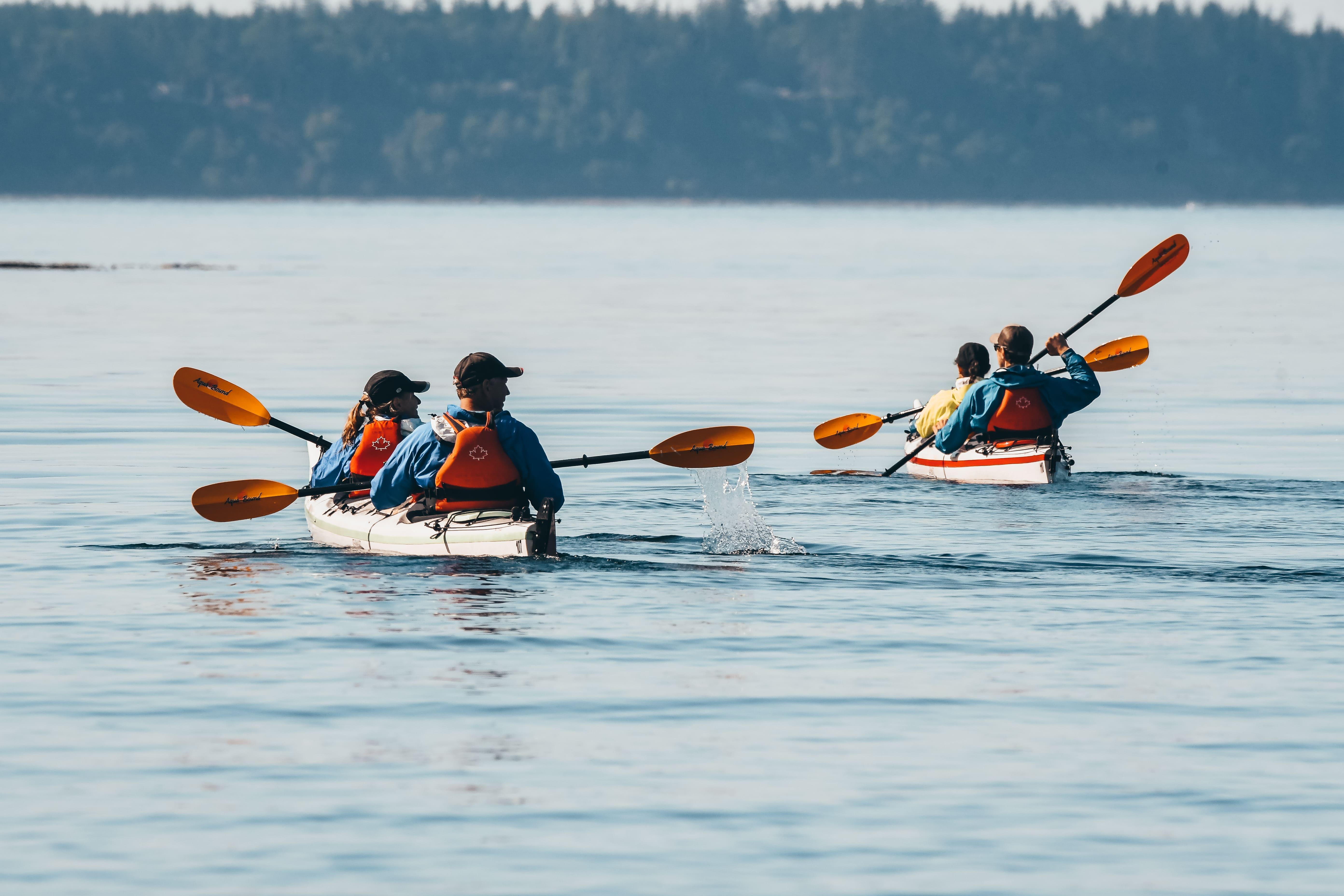 Johnstone Strait Full-Day Kayak Adventure