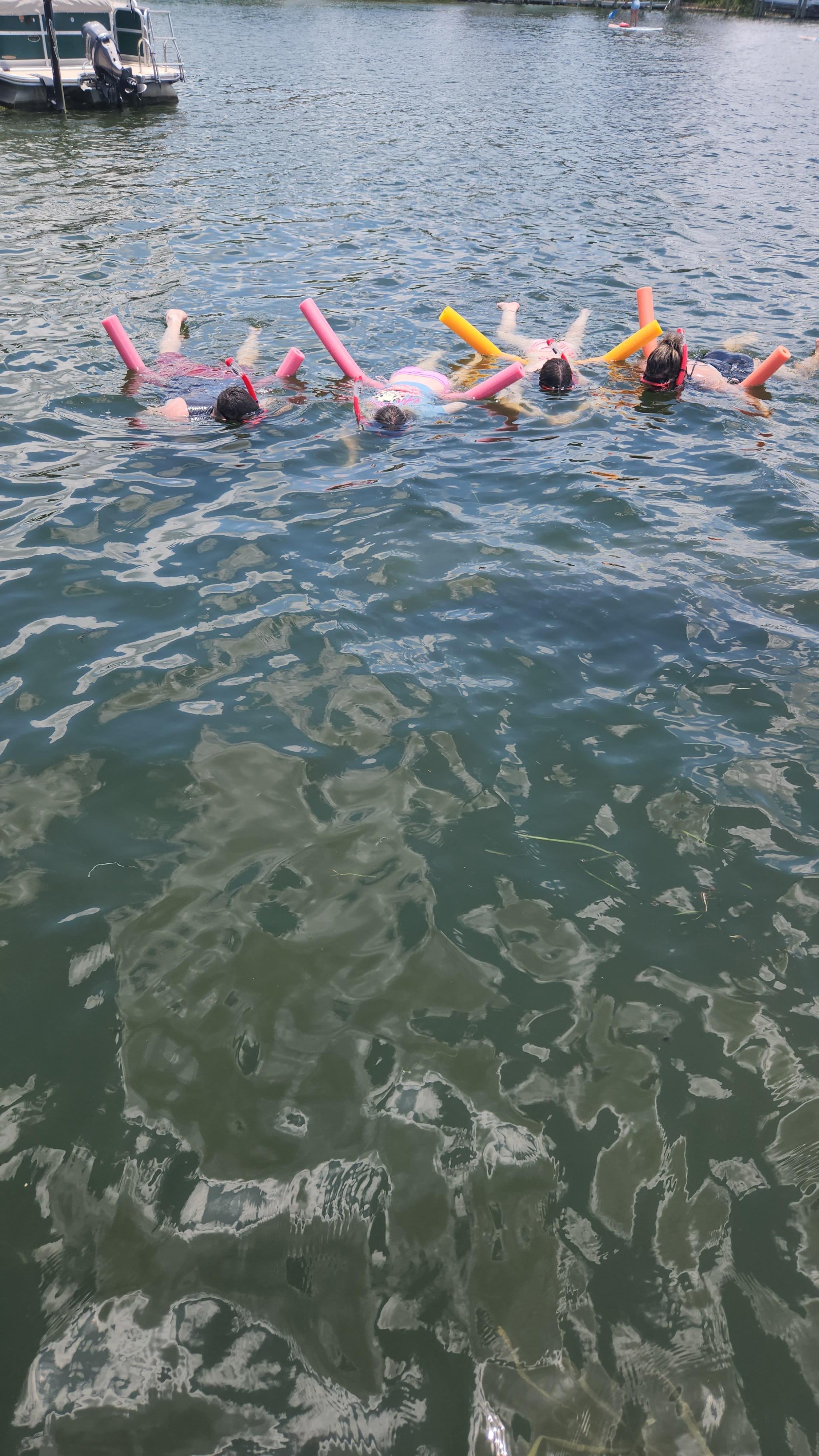 Snorkelers floating with bright pool noodles at the surface