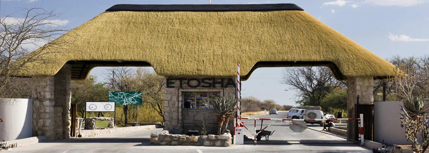 Etosha National Park Safari Adventure