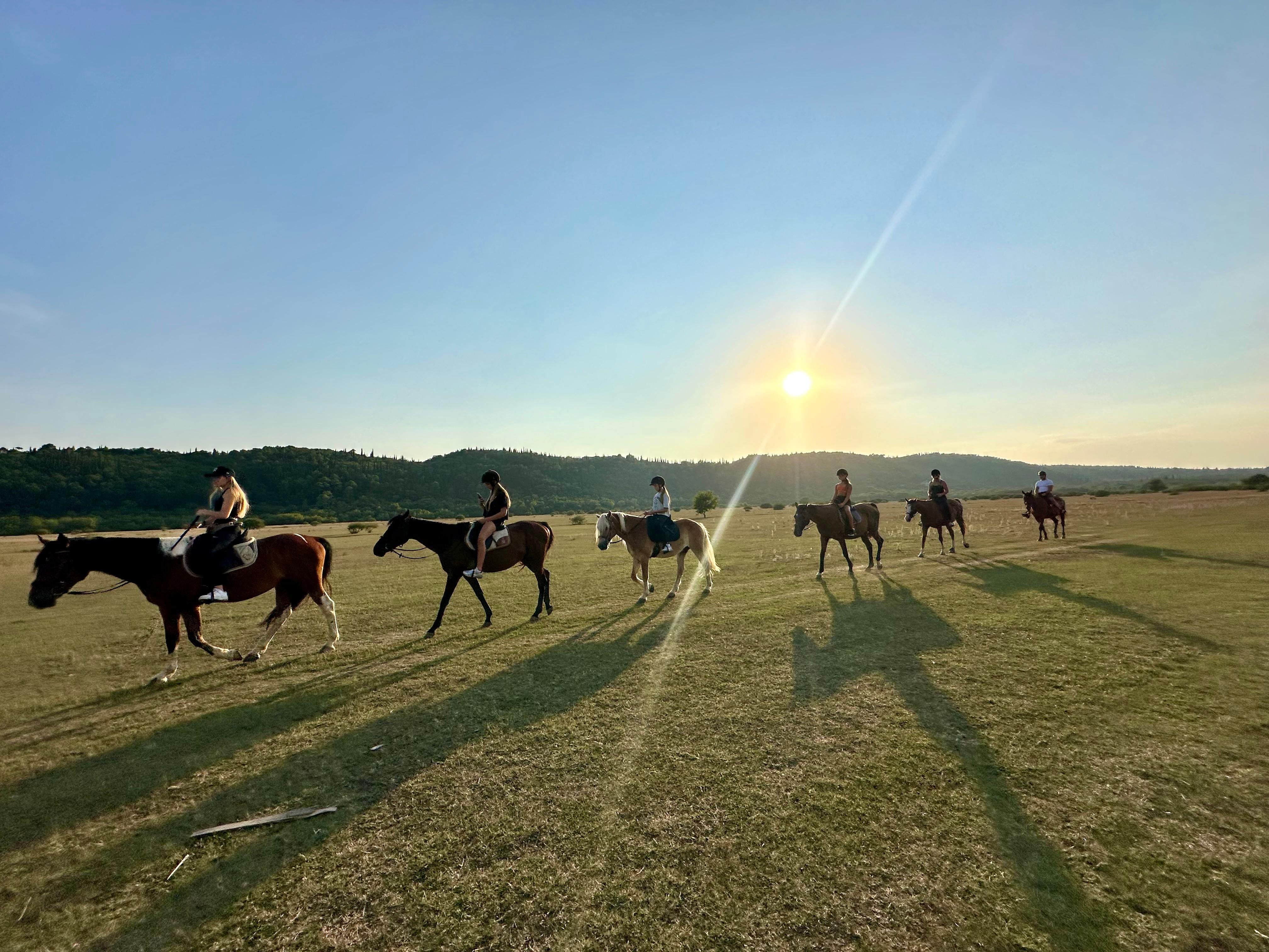 Konavle Sunset Horseback Adventure with Transfers