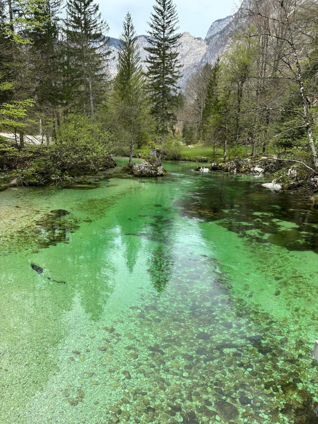 Lake Bohinj Nature Escape from Ljubljana