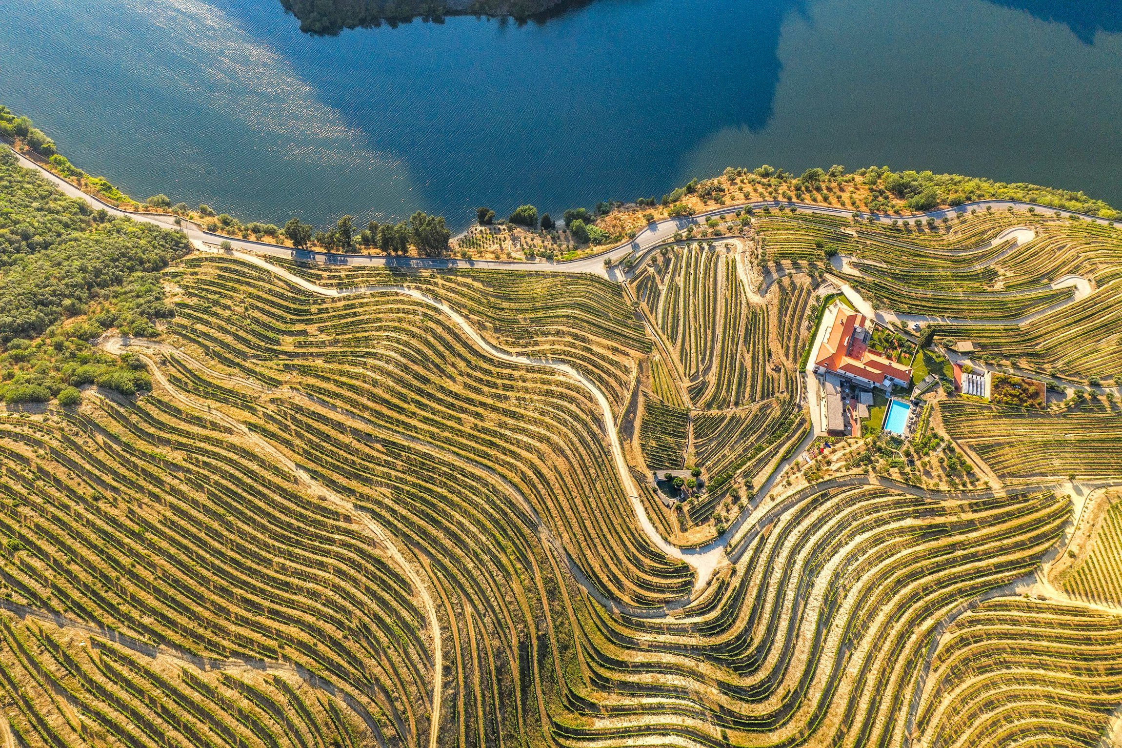Douro Valley Day Trip: Boat Cruise, Wine Tasting & Traditional Lunch from Porto