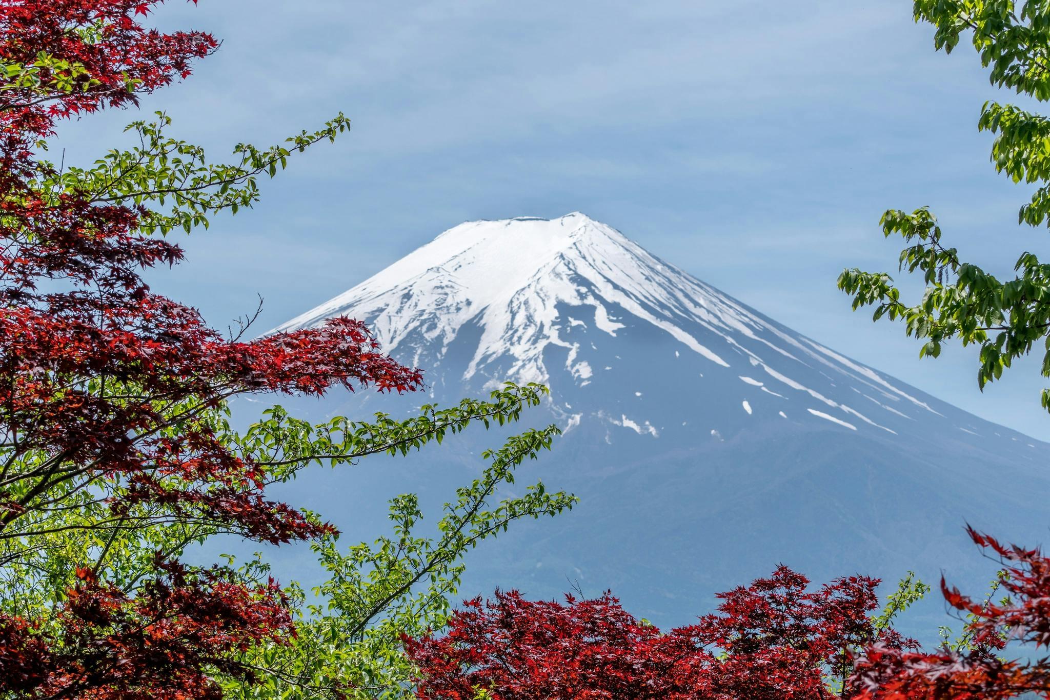 Mount Fuji Full-Day Sightseeing Tour from Tokyo