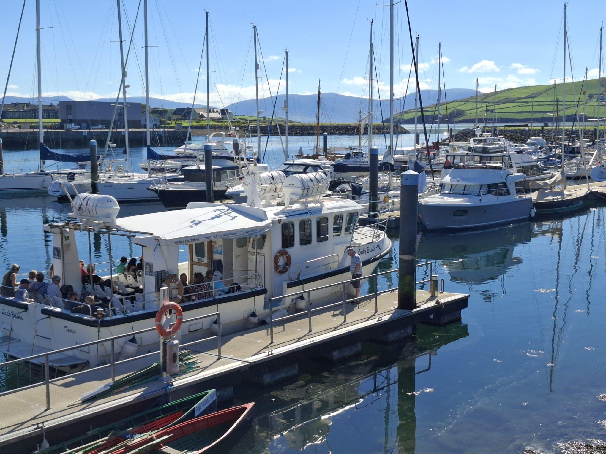 Blasket Island Wildlife & Eco Marine Tour