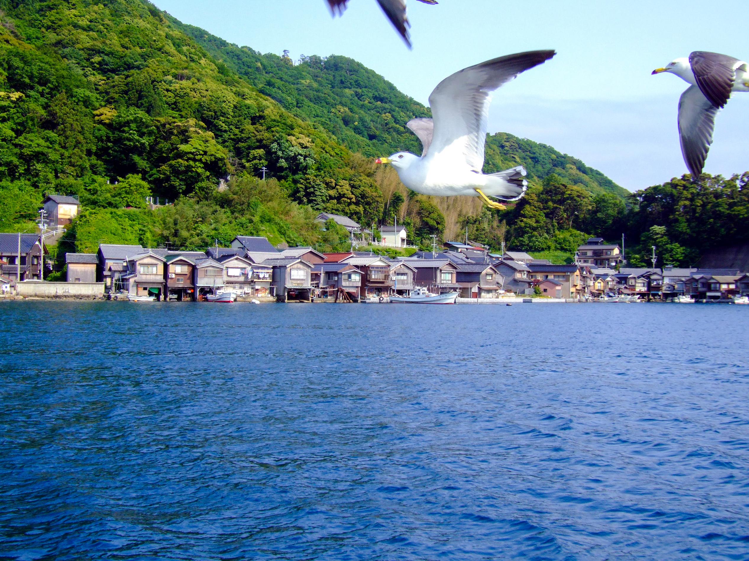 Ine Bay and Amanohashidate Scenic Day Tour from Kyoto or Osaka