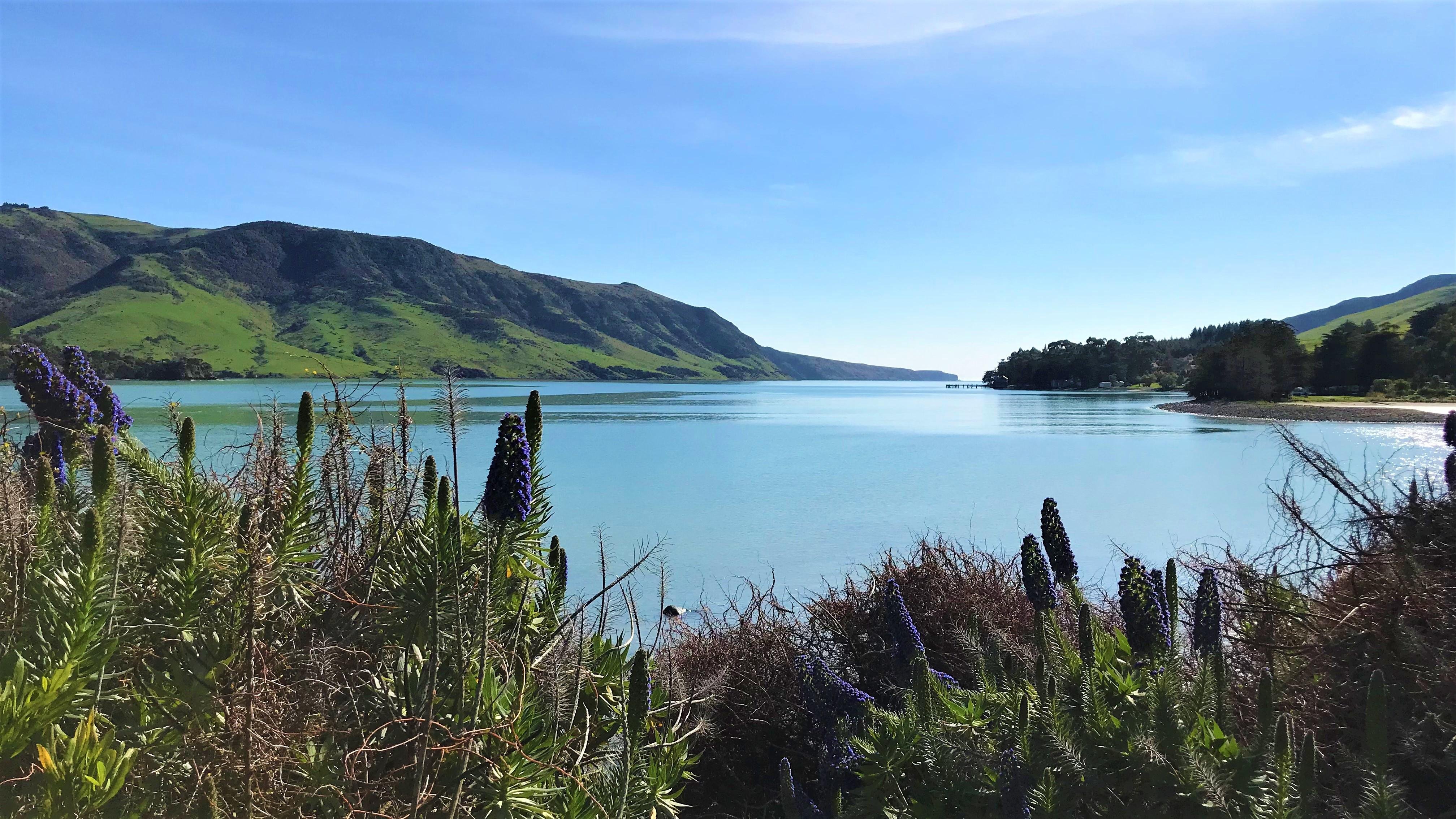 Akaroa: Eastern Bays Scenic Mail Run Tour