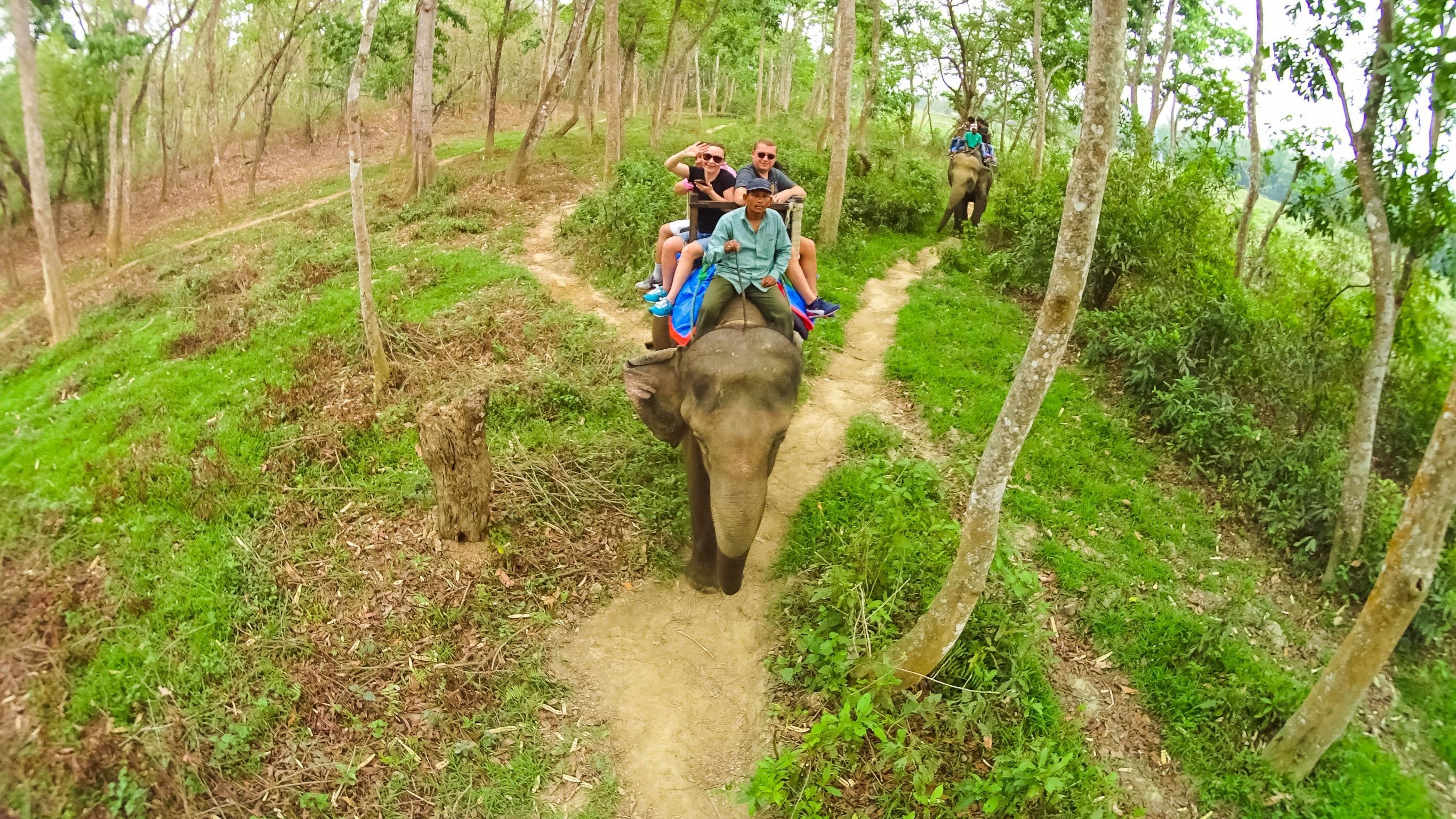3-Day All-Inclusive Chitwan National Park Safari