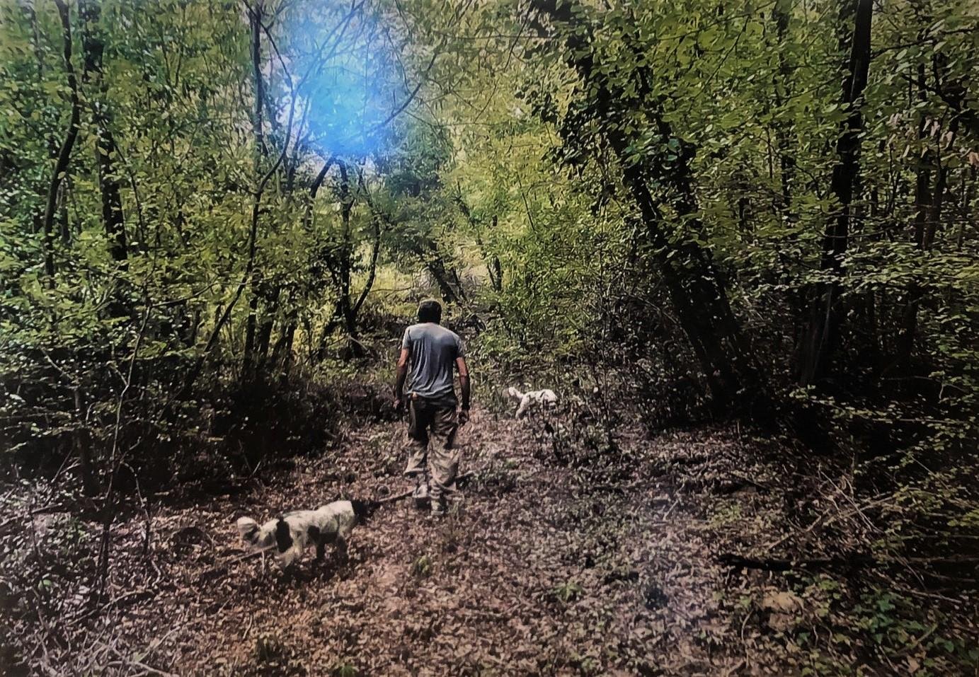 Truffle hunting day trip from Florence Tuscany — image 4