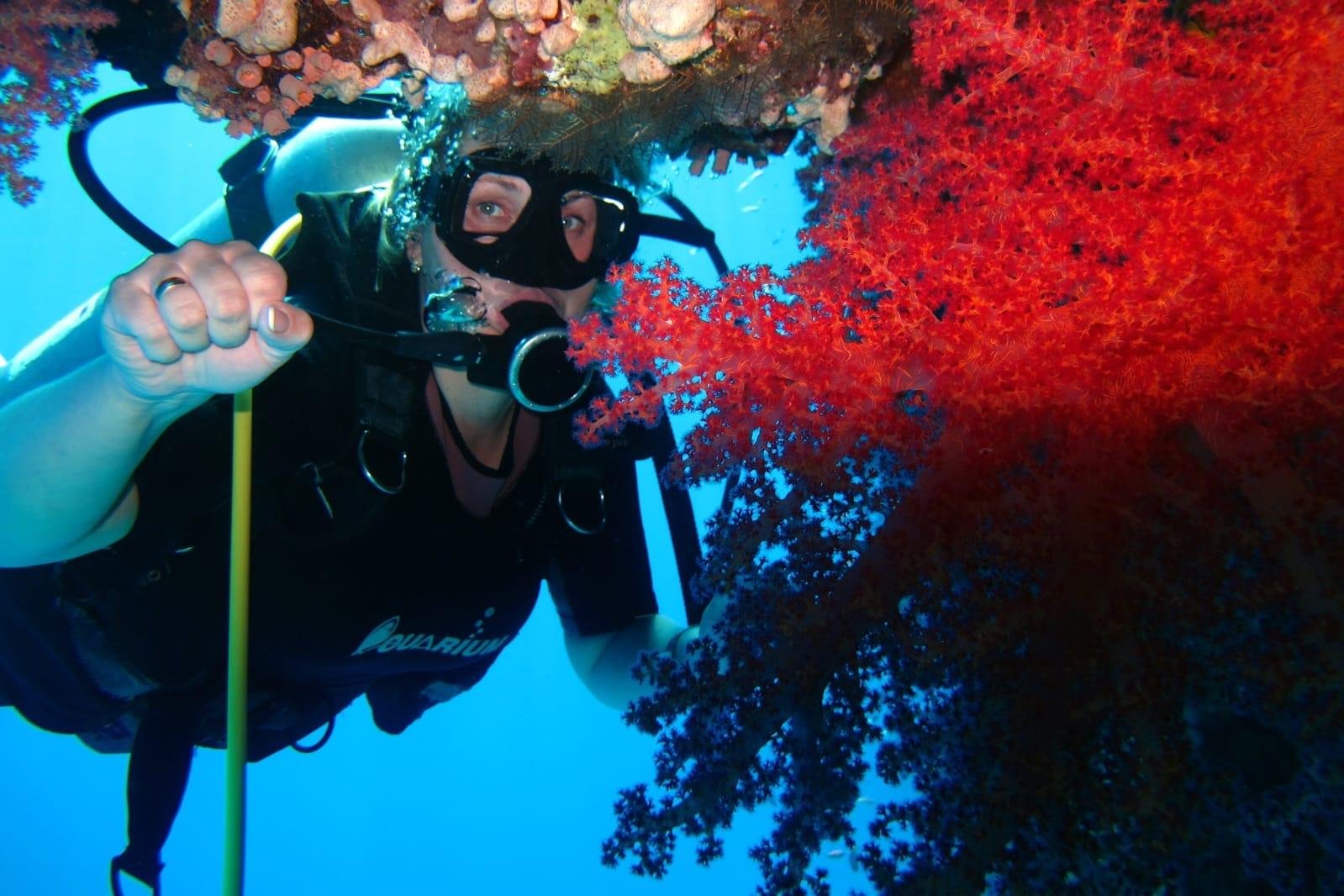 Sharm El Sheikh: White Island & Ras Mohamed Full-Day Sailing Adventure