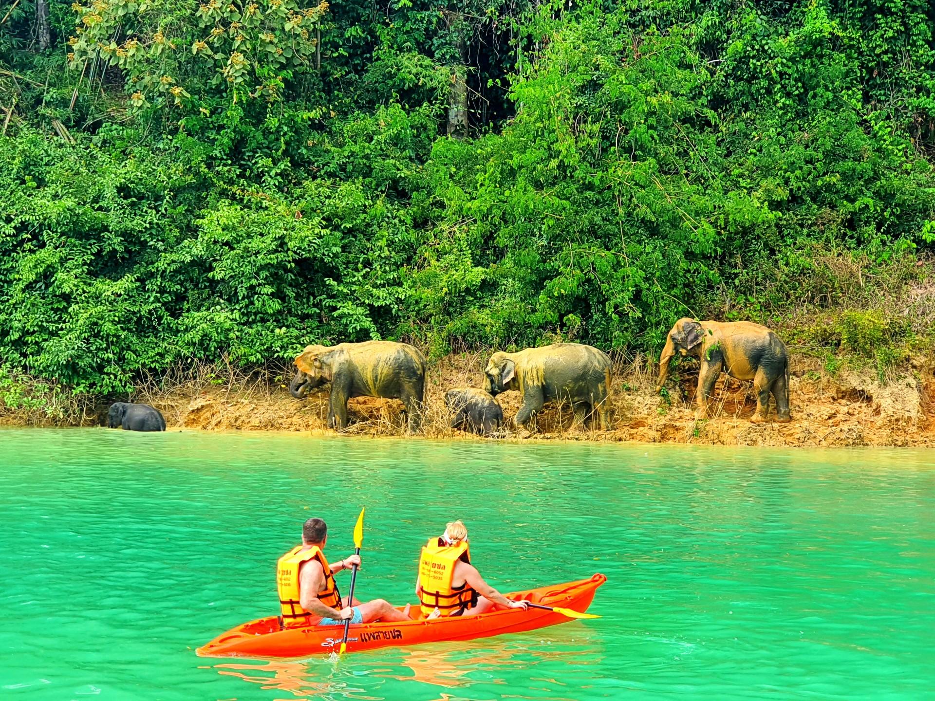 Cheow Lan Lake Overnight: Floating Resort & Wildlife Safari