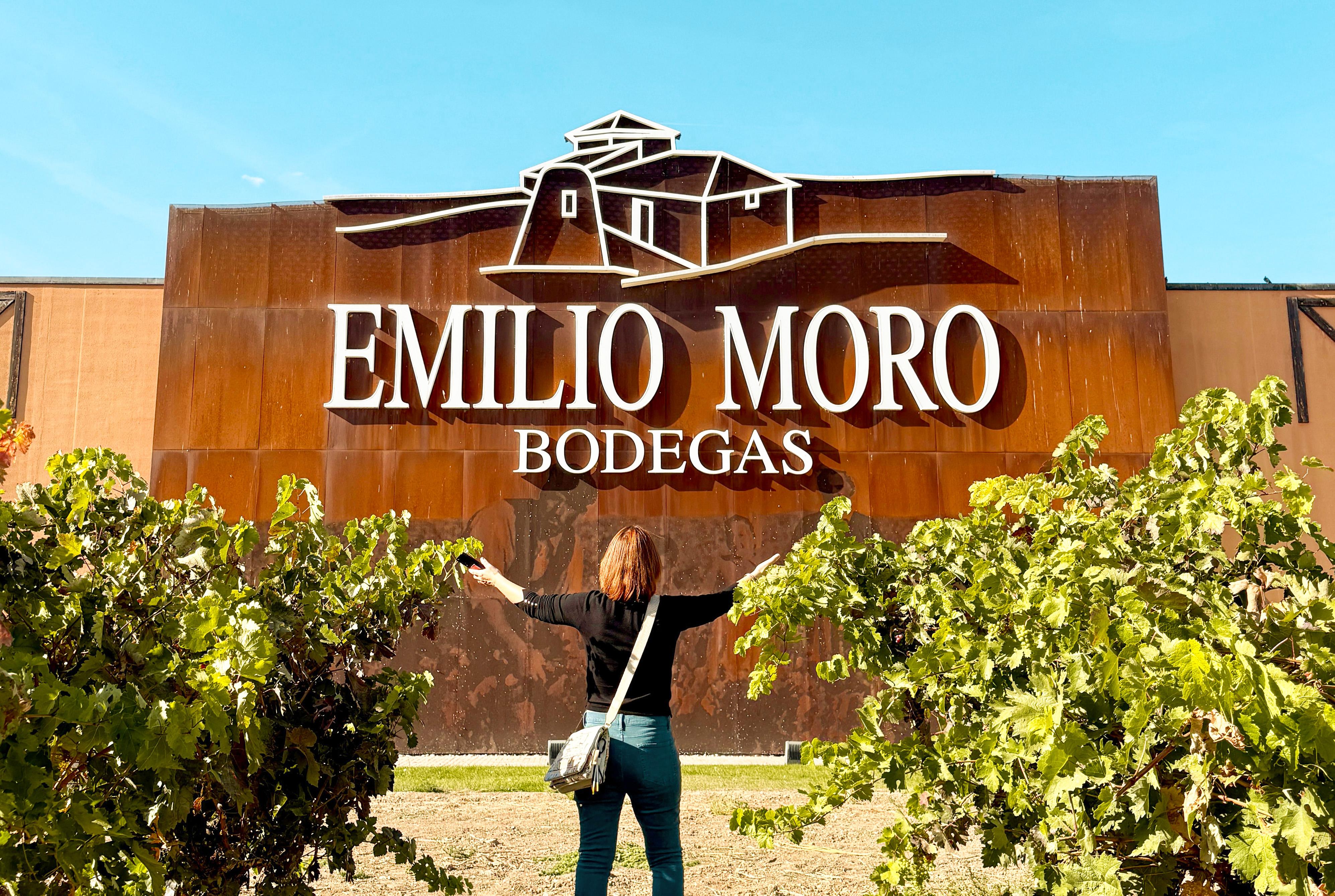 Ribera del Duero Wine Region Day Trip from Madrid