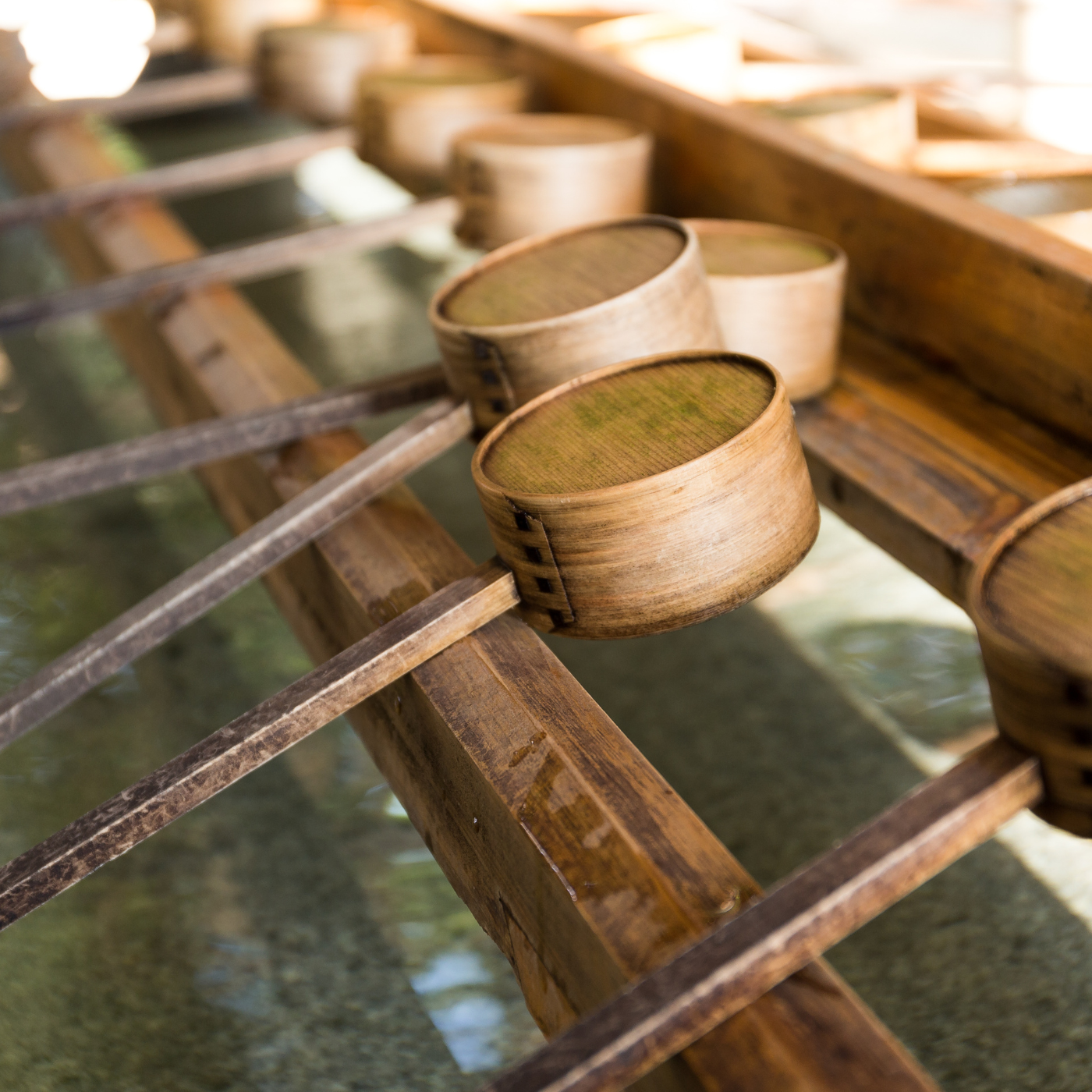 Private Nikko Day Tour from Tokyo – Fully Customizable