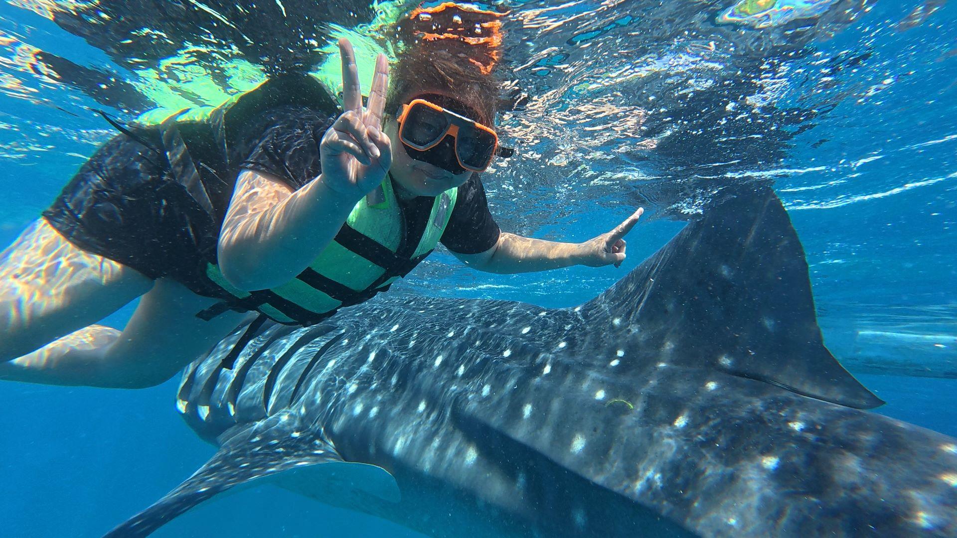 Private Oslob Whale Shark Expedition from Cebu