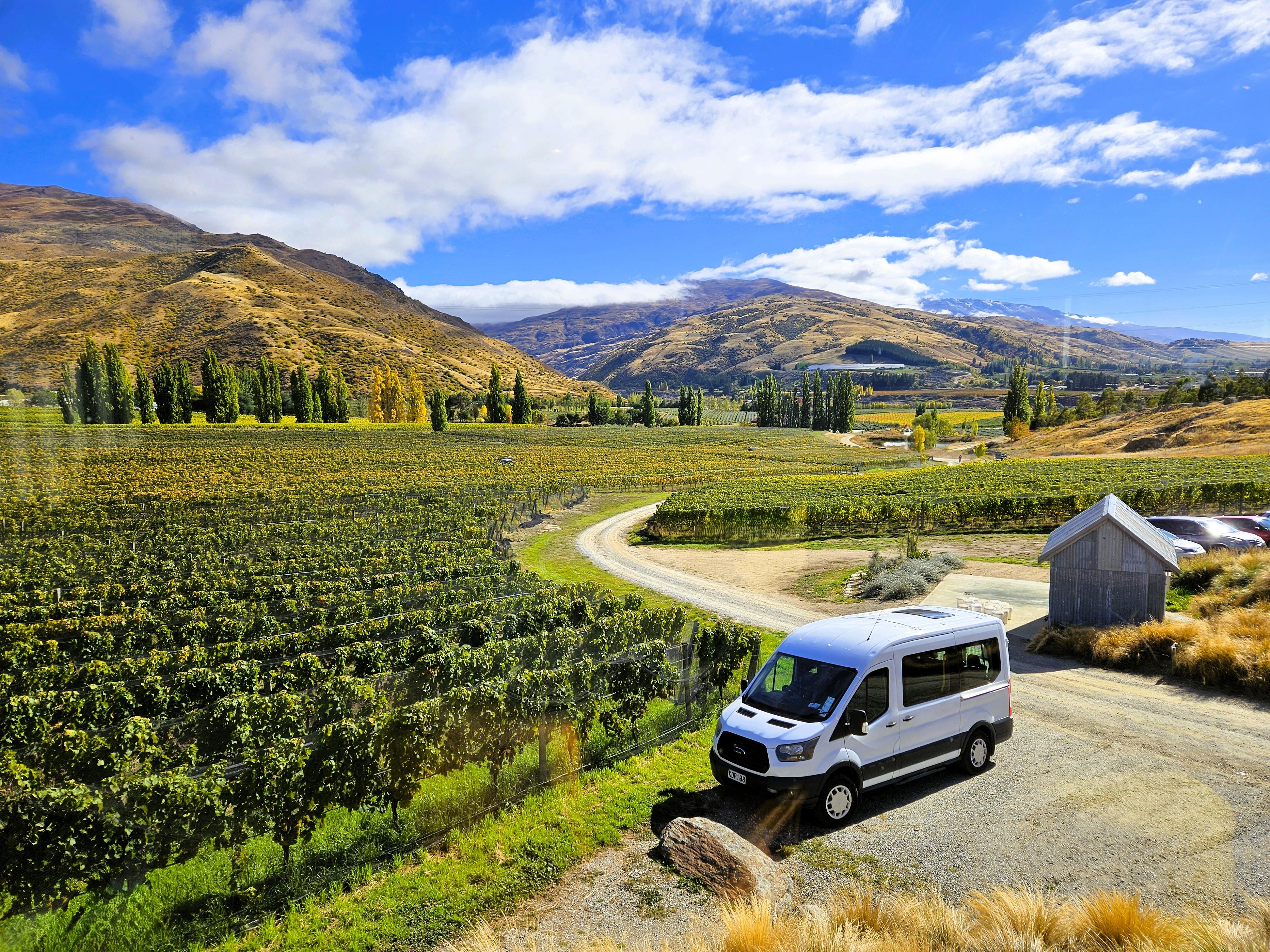 Queenstown: Full-Day Central Otago Boutique Wine Tour