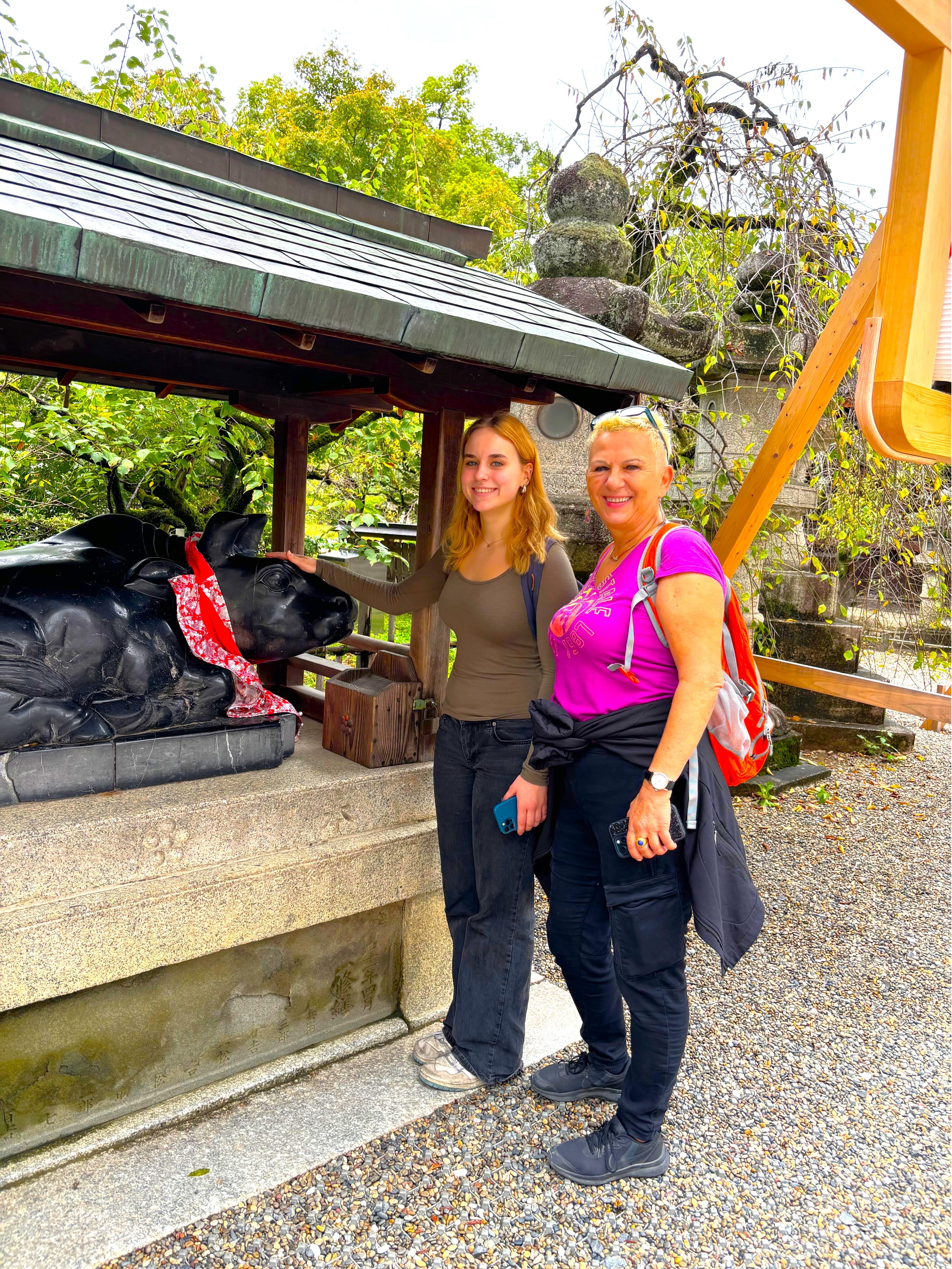 Kyoto Full-Day Highlights Tour: Temples and Historic Districts