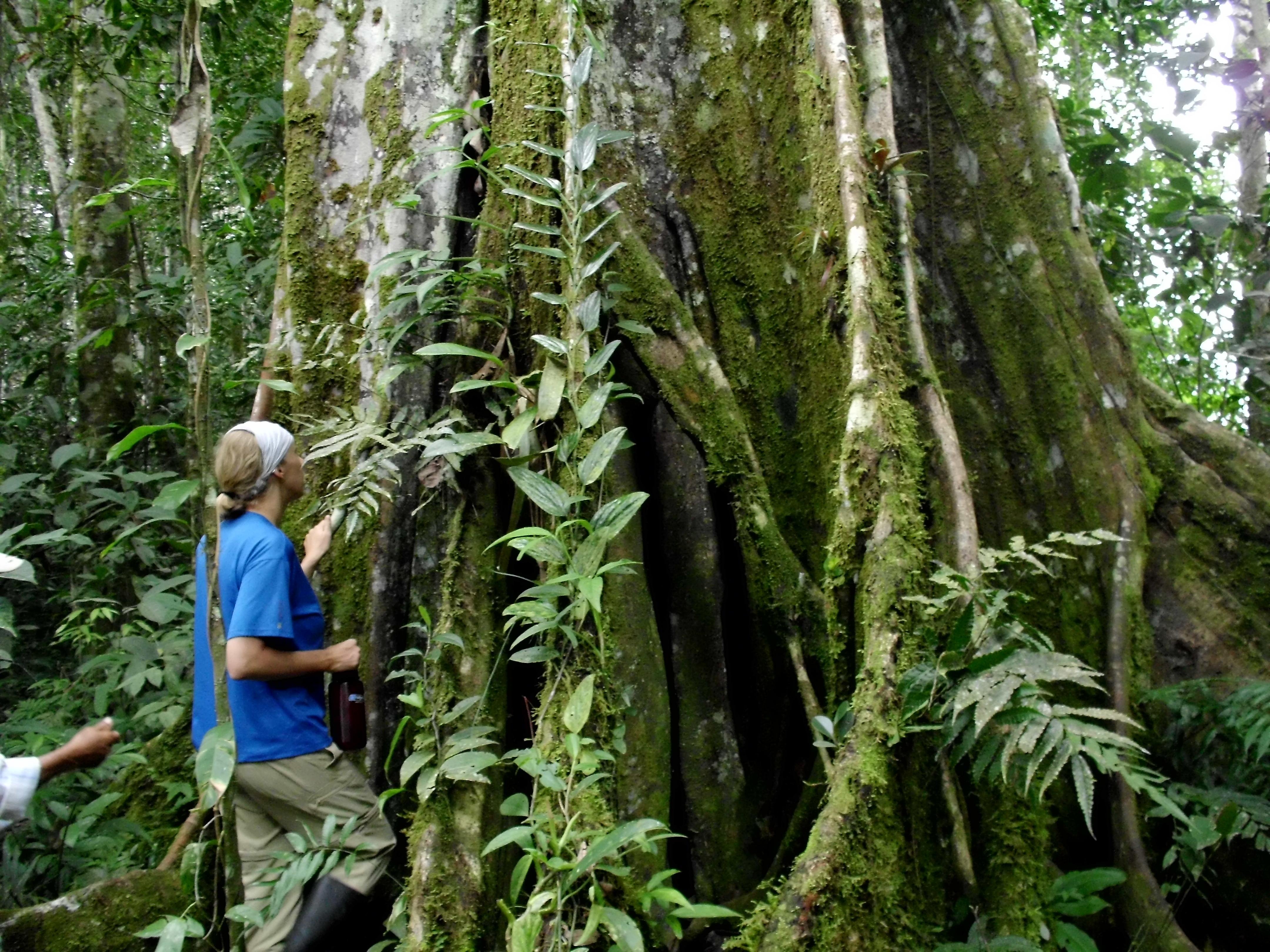 3-Day Amazon Jungle Expedition from Tena – All Inclusive