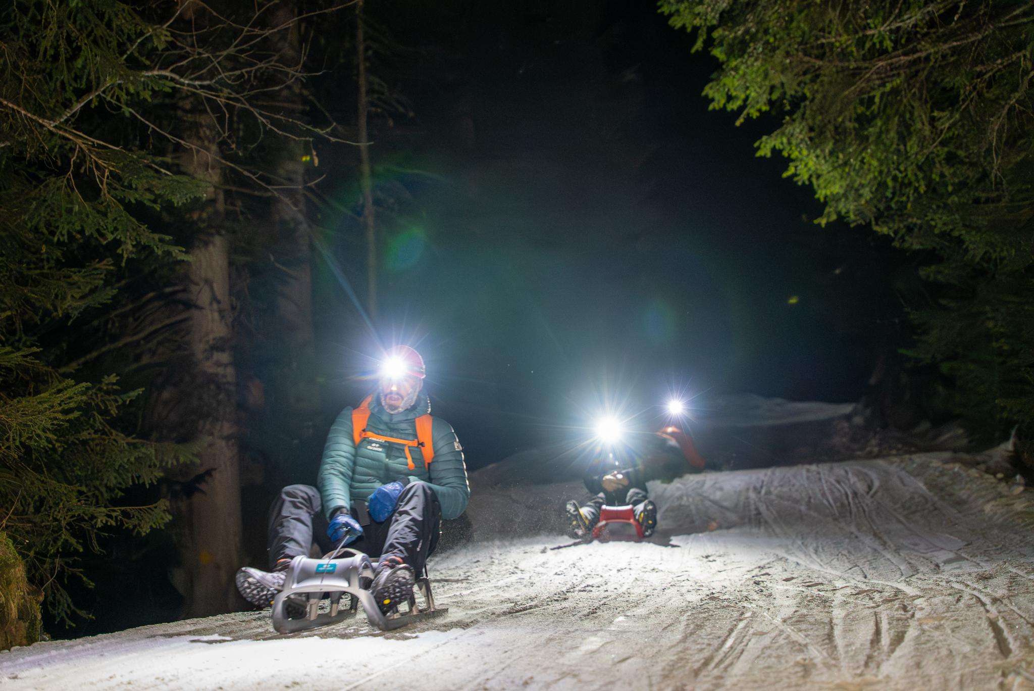 Sunset Sledding and Fondue Adventure from Interlaken