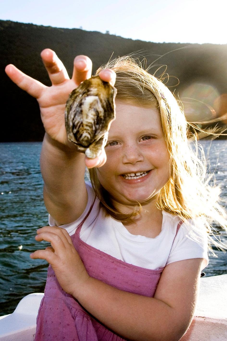 Knysna Lagoon Cruise with Oyster Tasting
