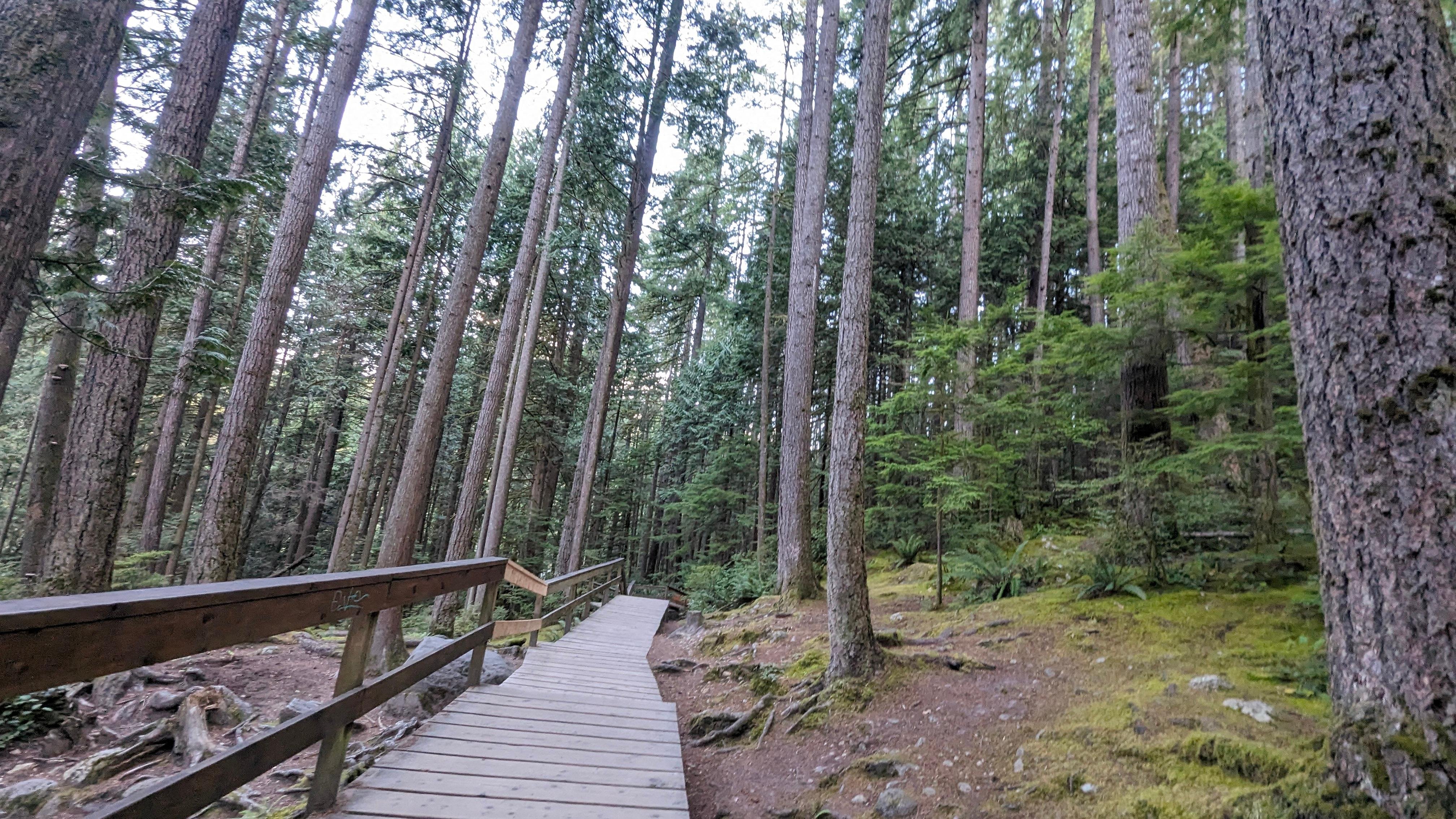 Capilano Canyon Halloween & Vancouver Twilight Private Tour
