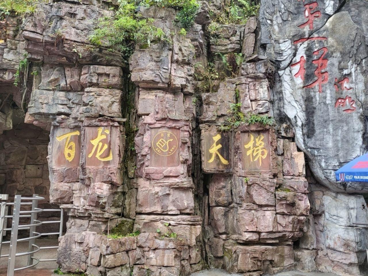 Zhangjiajie National Forest Park Private VIP Day Tour