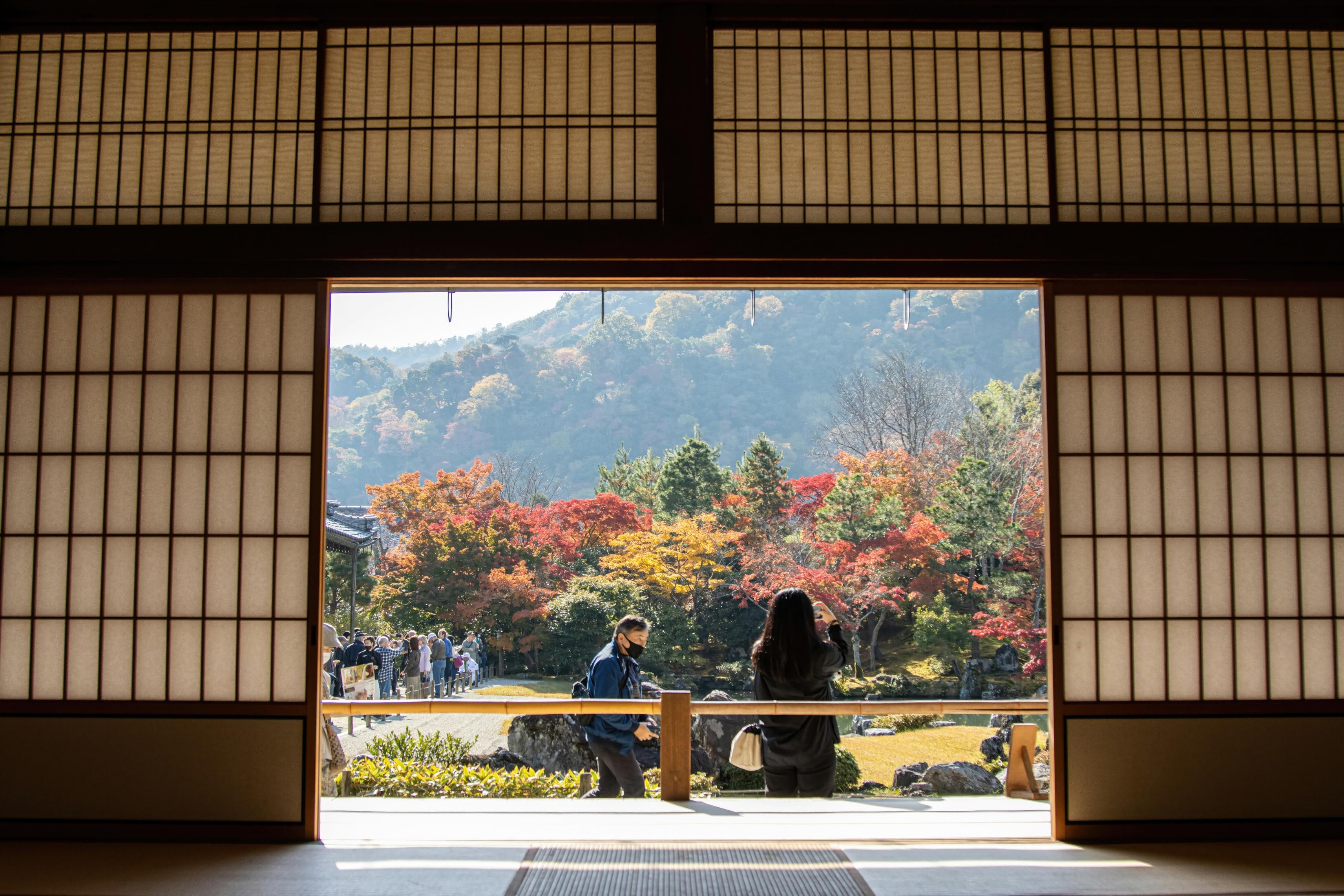 嵐山ガイド付きウォーキングツアー：竹林、禅寺、モンキーパーク