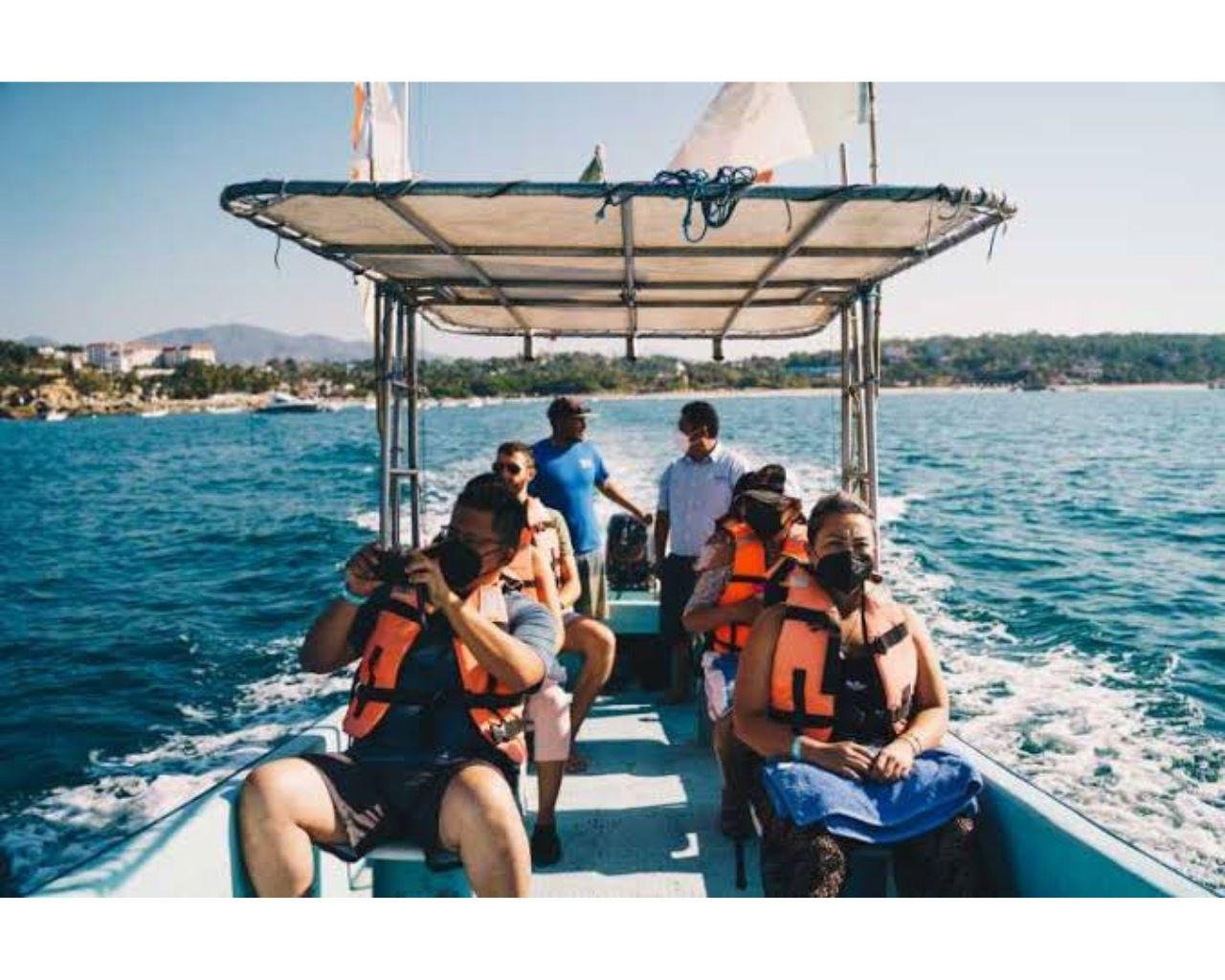 Dolphin and Whale Watching Boat Tour
