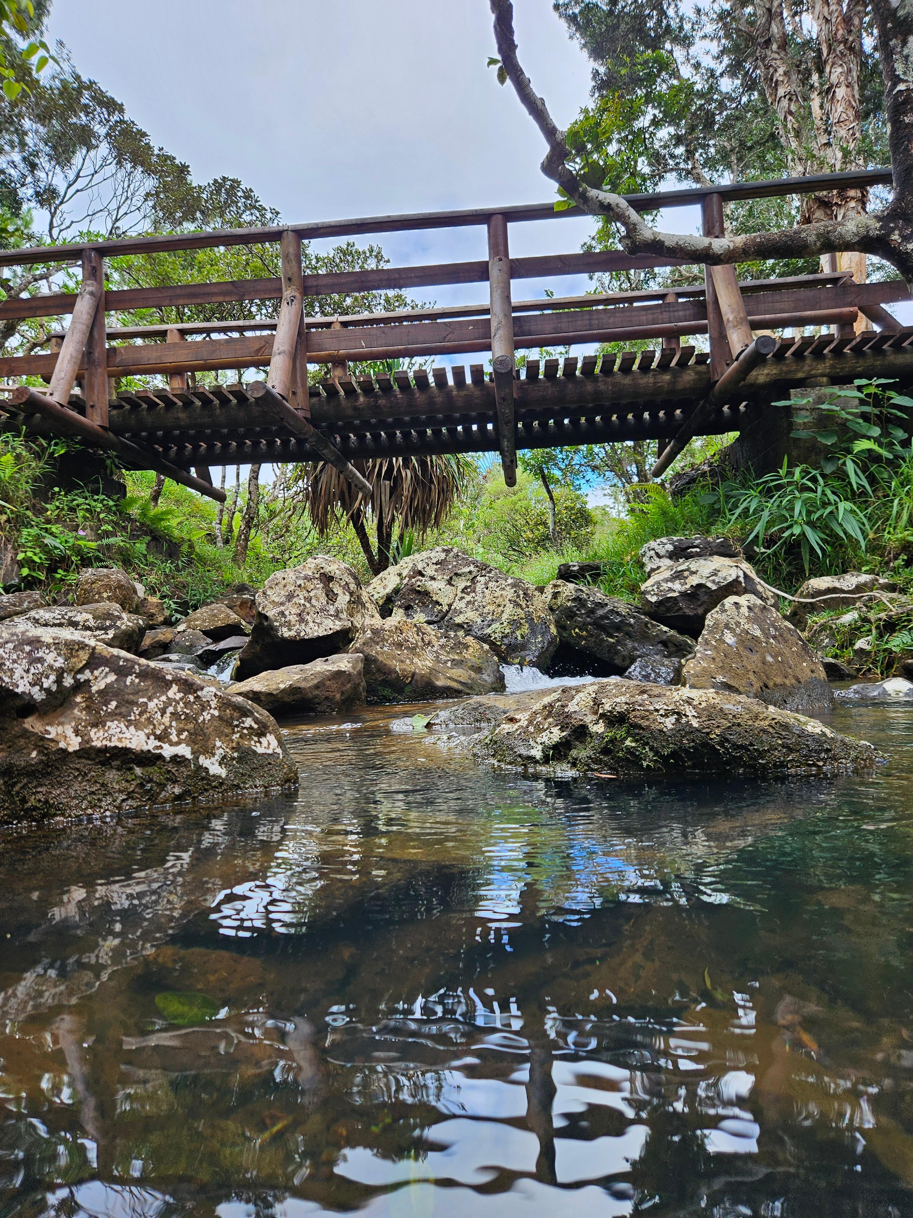Private Southwest Mauritius: Chamarel & Nature Highlights