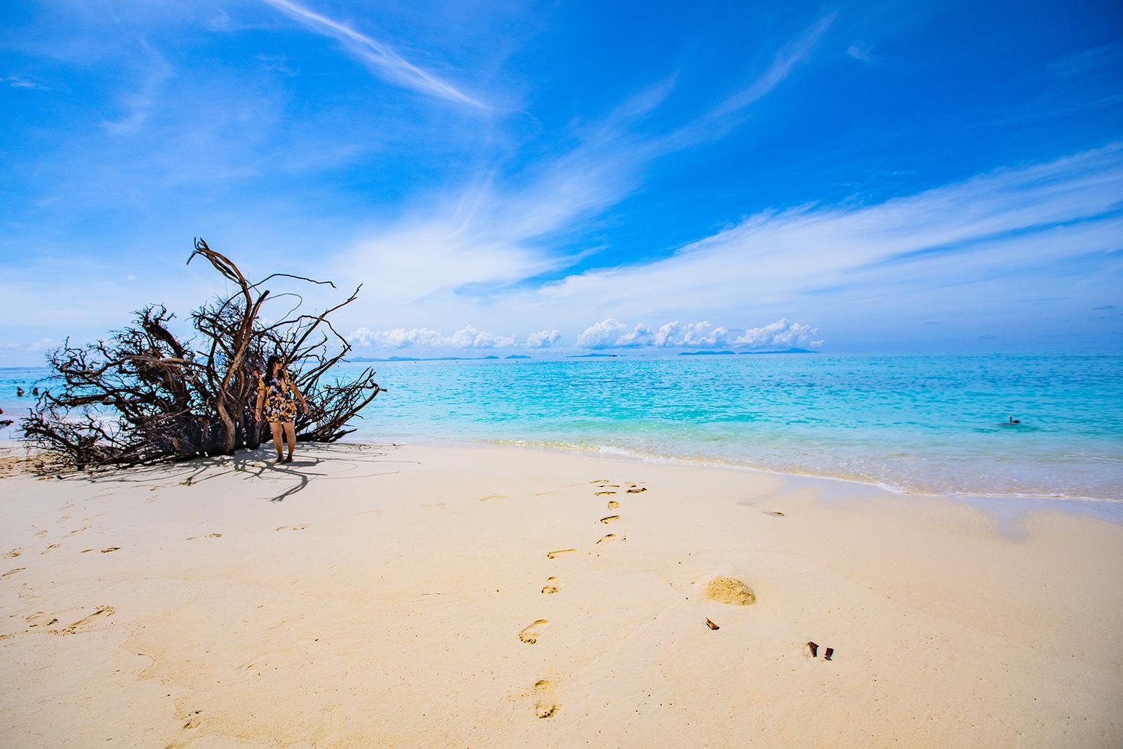 Private Longtail Boat Expedition: Phi Phi & Bamboo Islands