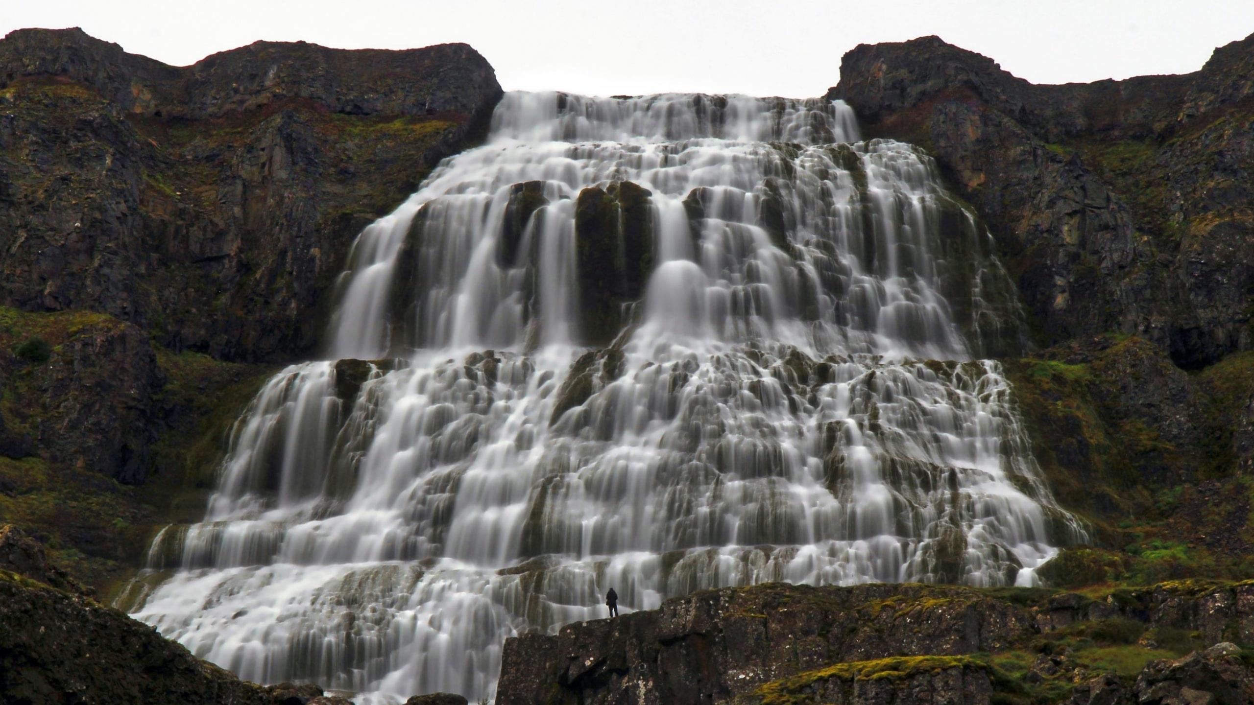 Dynjandi Waterfall & Icelandic Horses from Ísafjörður
