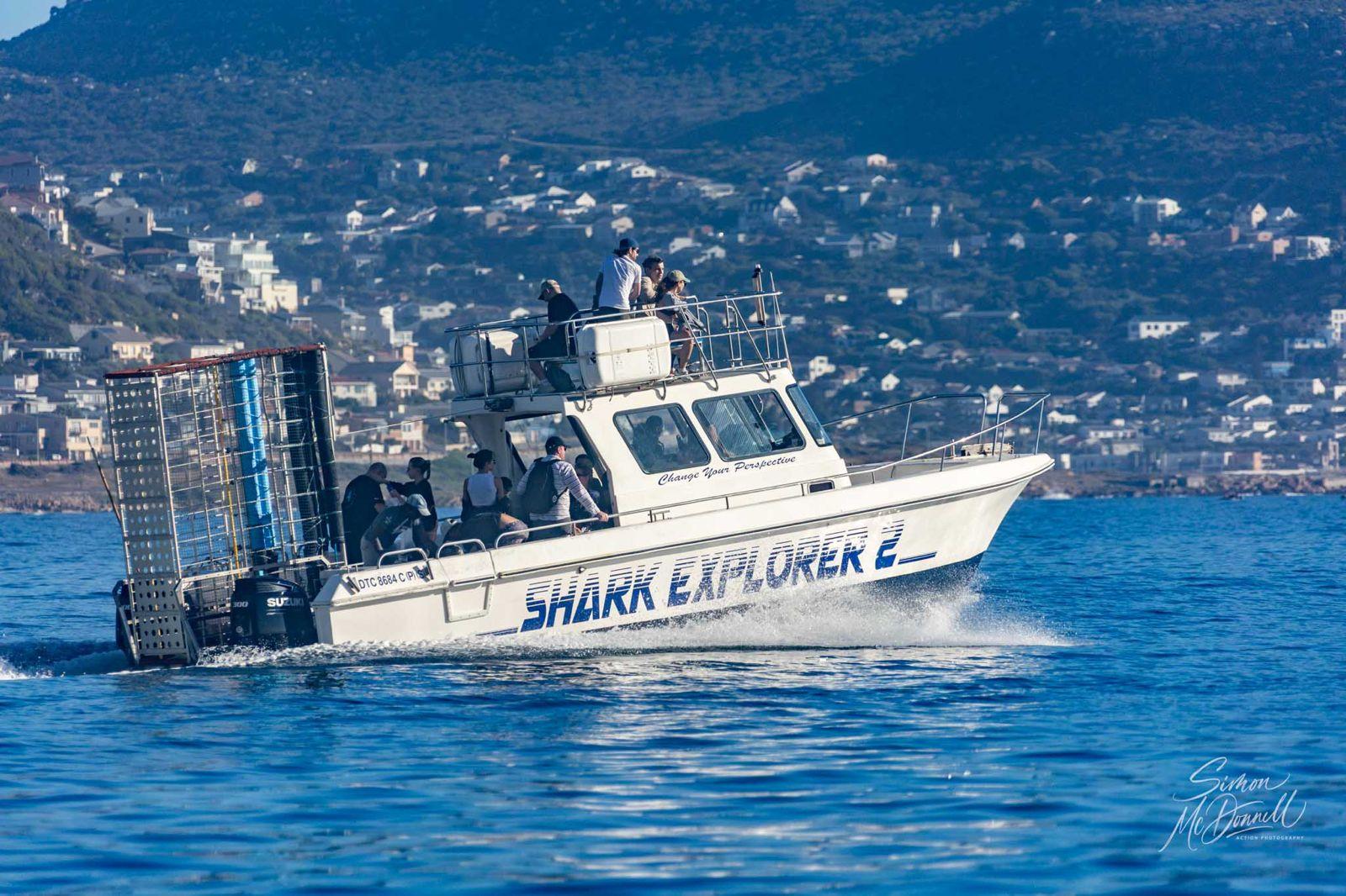 Cape Town Shark Cage Diving Adventure