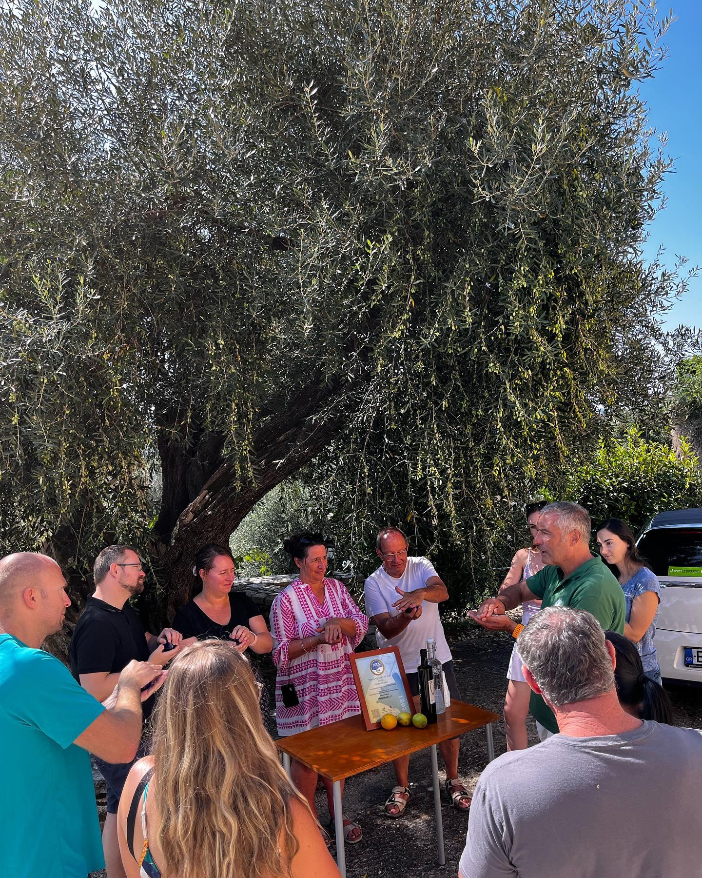 Corfu Cooking Class, Market Tour & Olive Oil Tasting