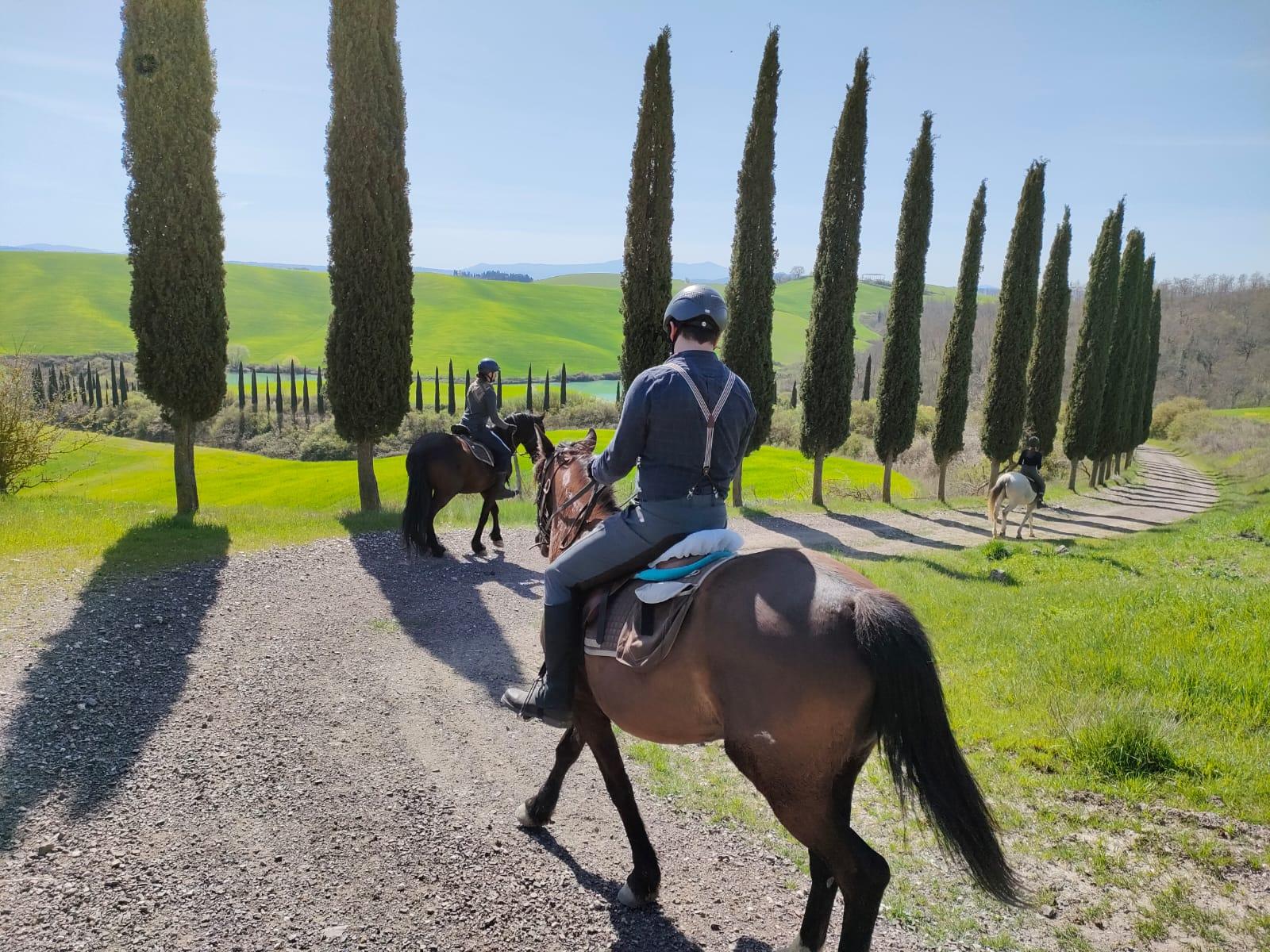 Tuscany Horseback Ride Through the Crete Senesi, Buonconvento
