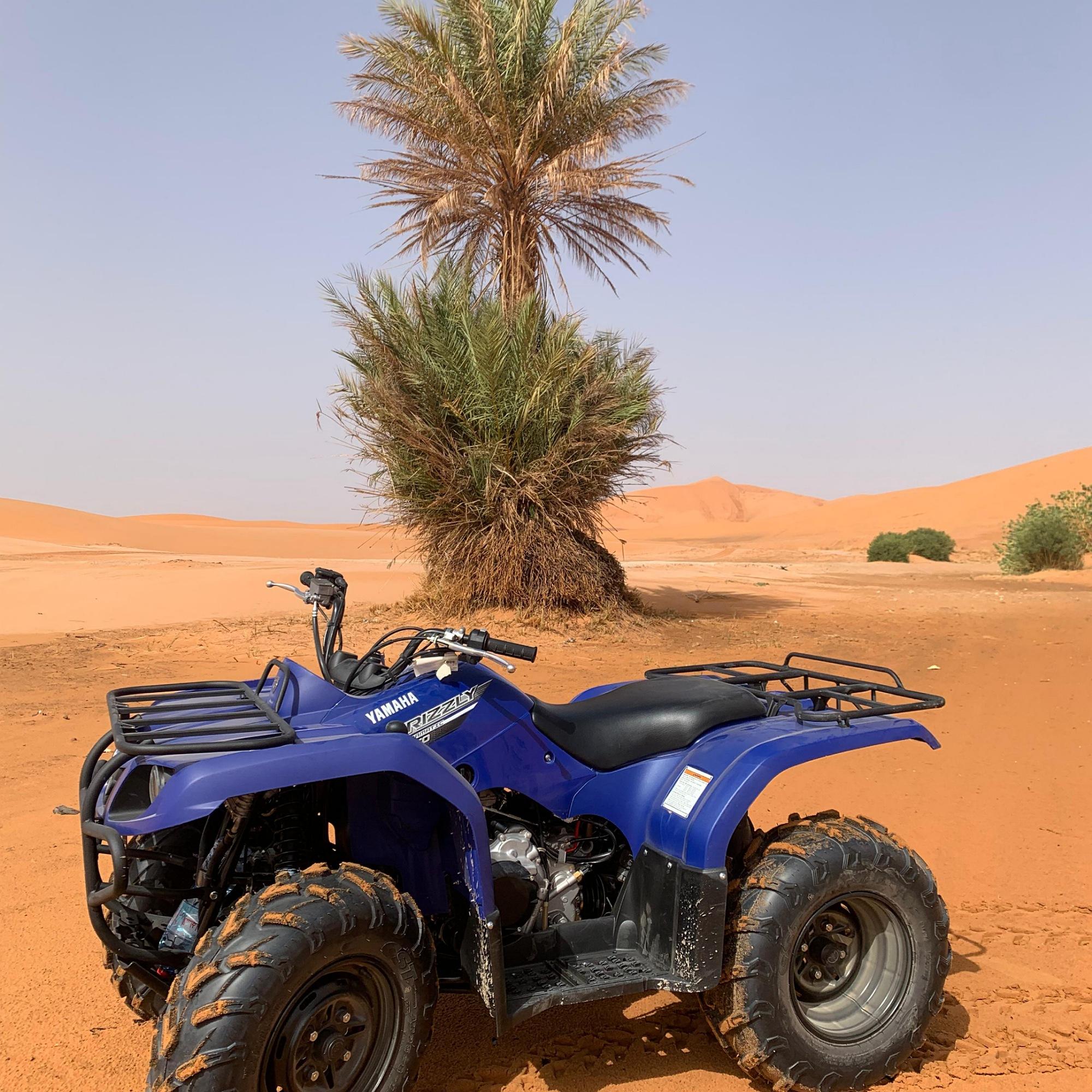 Merzouga Sahara Quad Bike Safari & Sandboarding