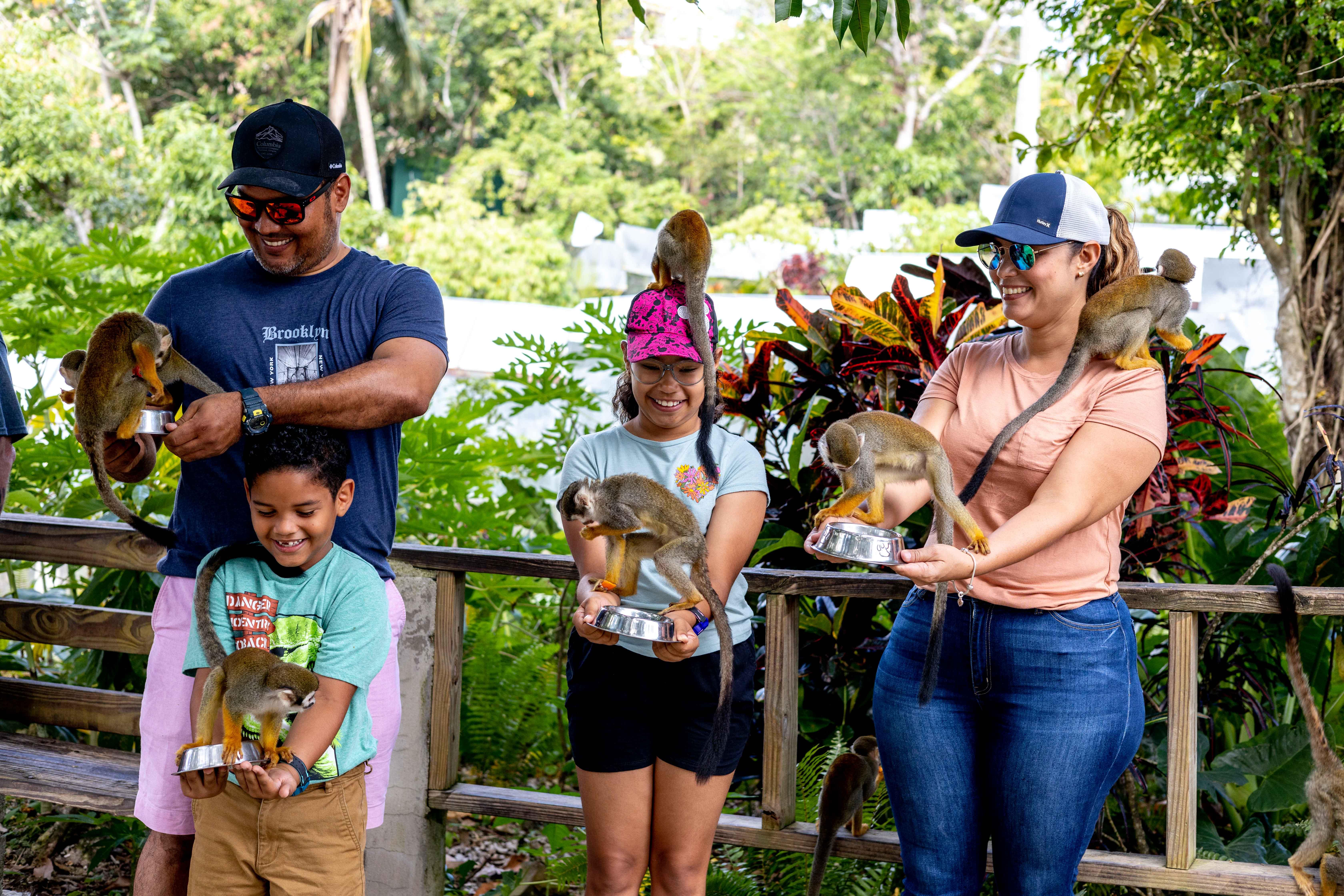 Punta Cana: Monkey Land Safari & Plantation Tour