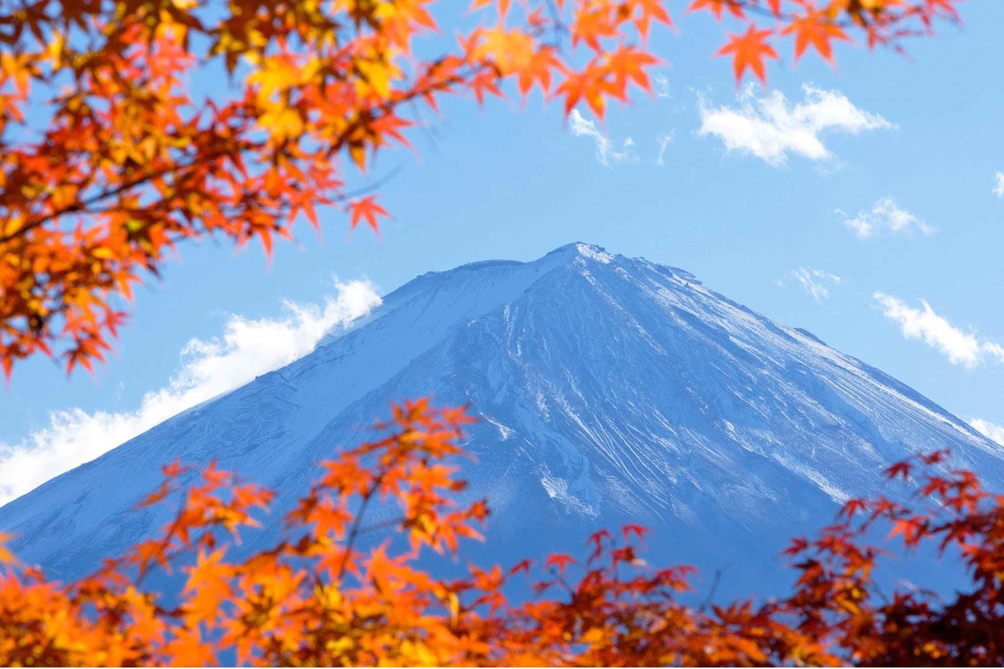 Mt. Fuji, Hakone & Arakura Pagoda Full-Day Tour from Tokyo
