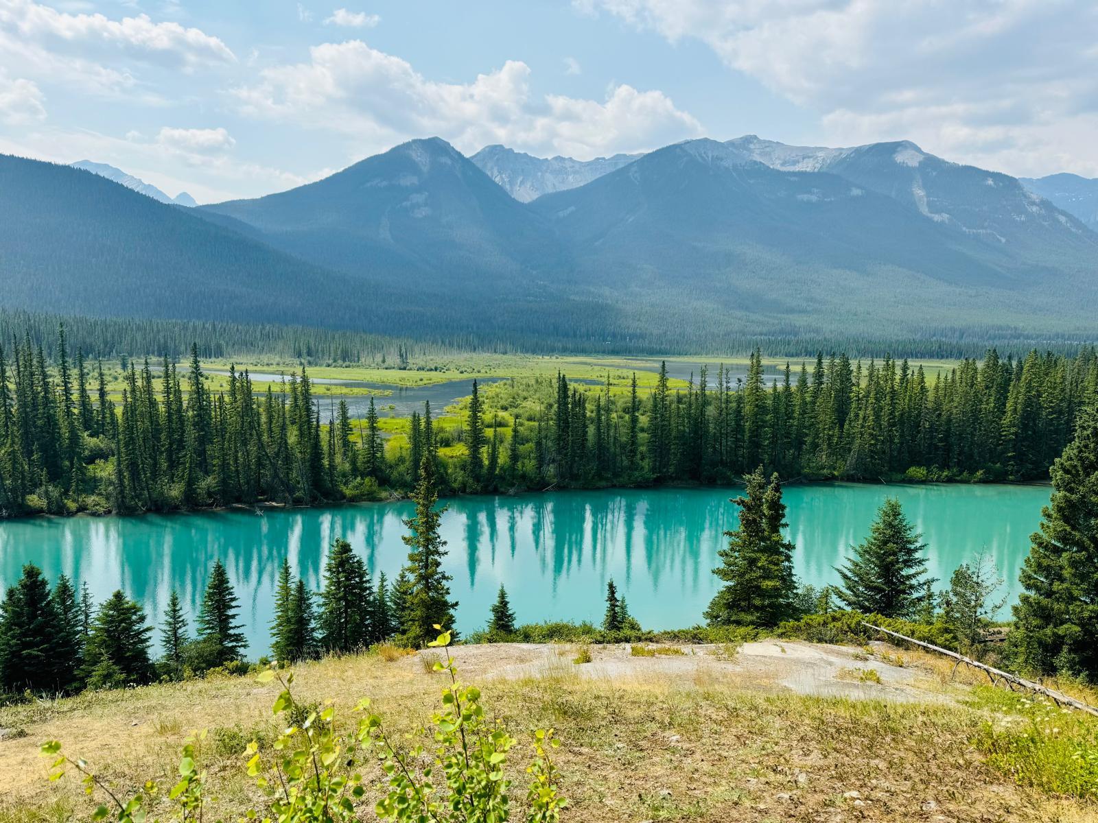 Banff: Lake Louise, Moraine, Emerald Lake & Johnston Canyon