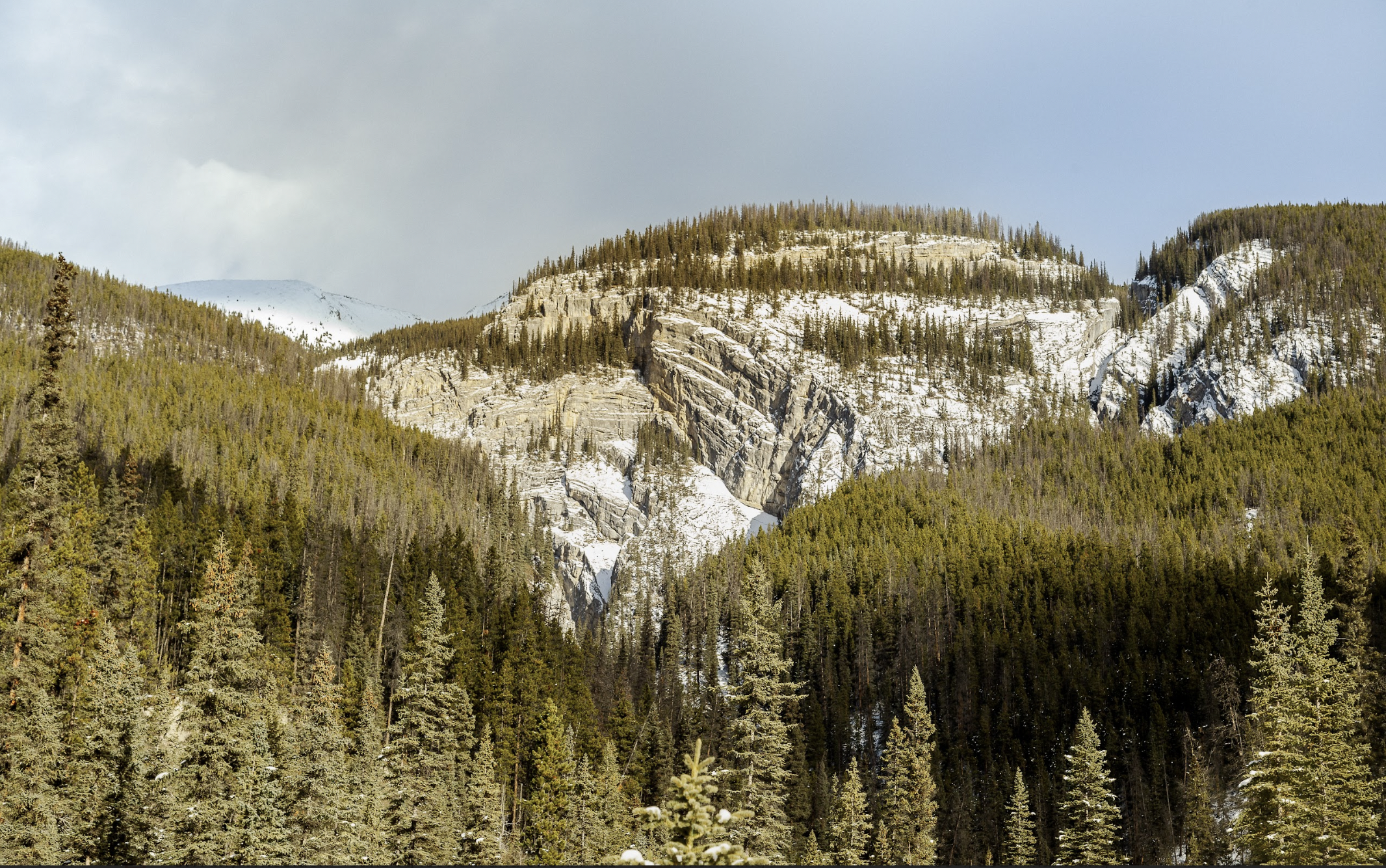 Maligne Valley & Pleckaitis Canyon Guided Trek