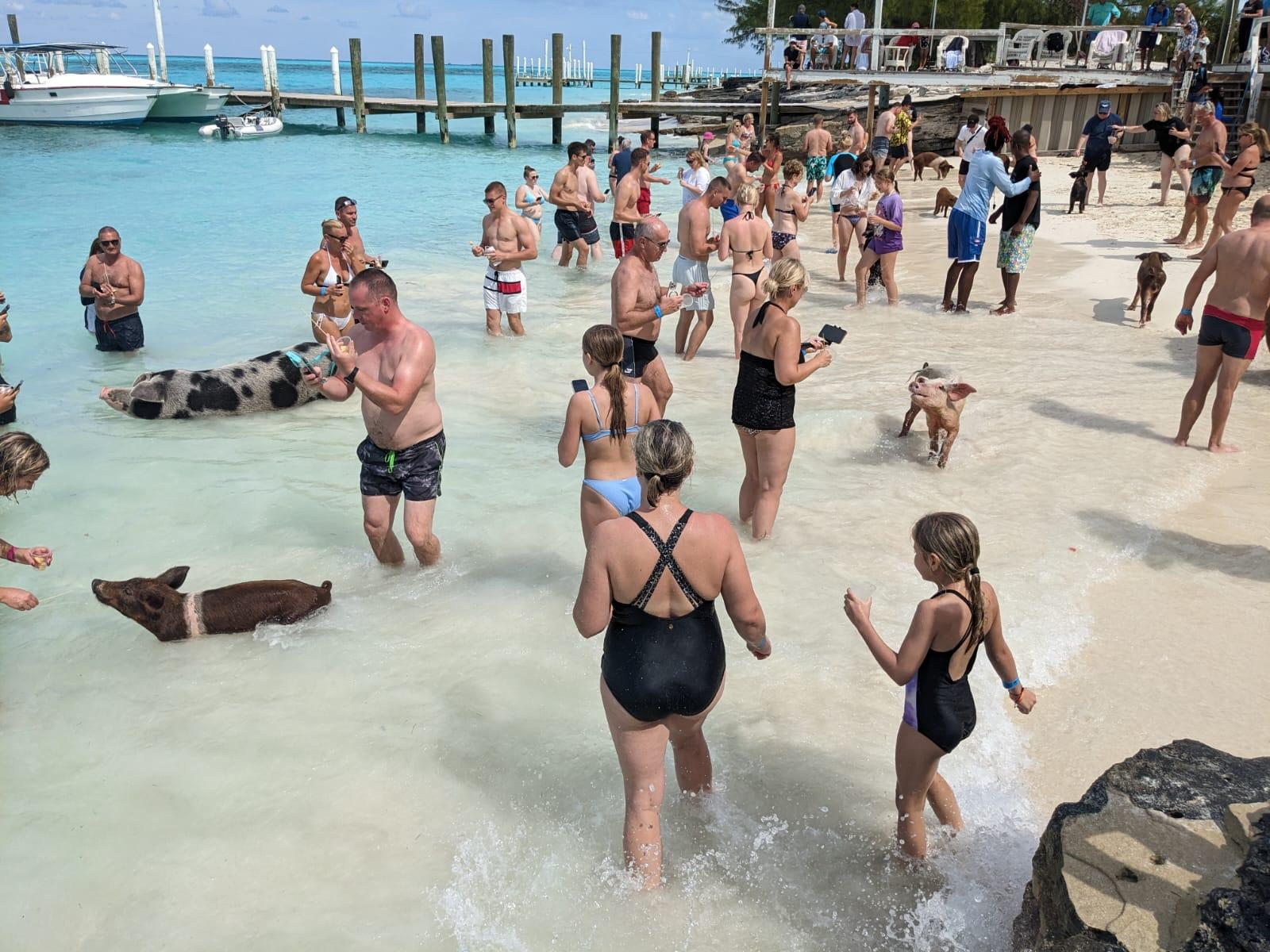 Nassau Catamaran Adventure: Swimming Pigs, Turtles & Snorkeling
