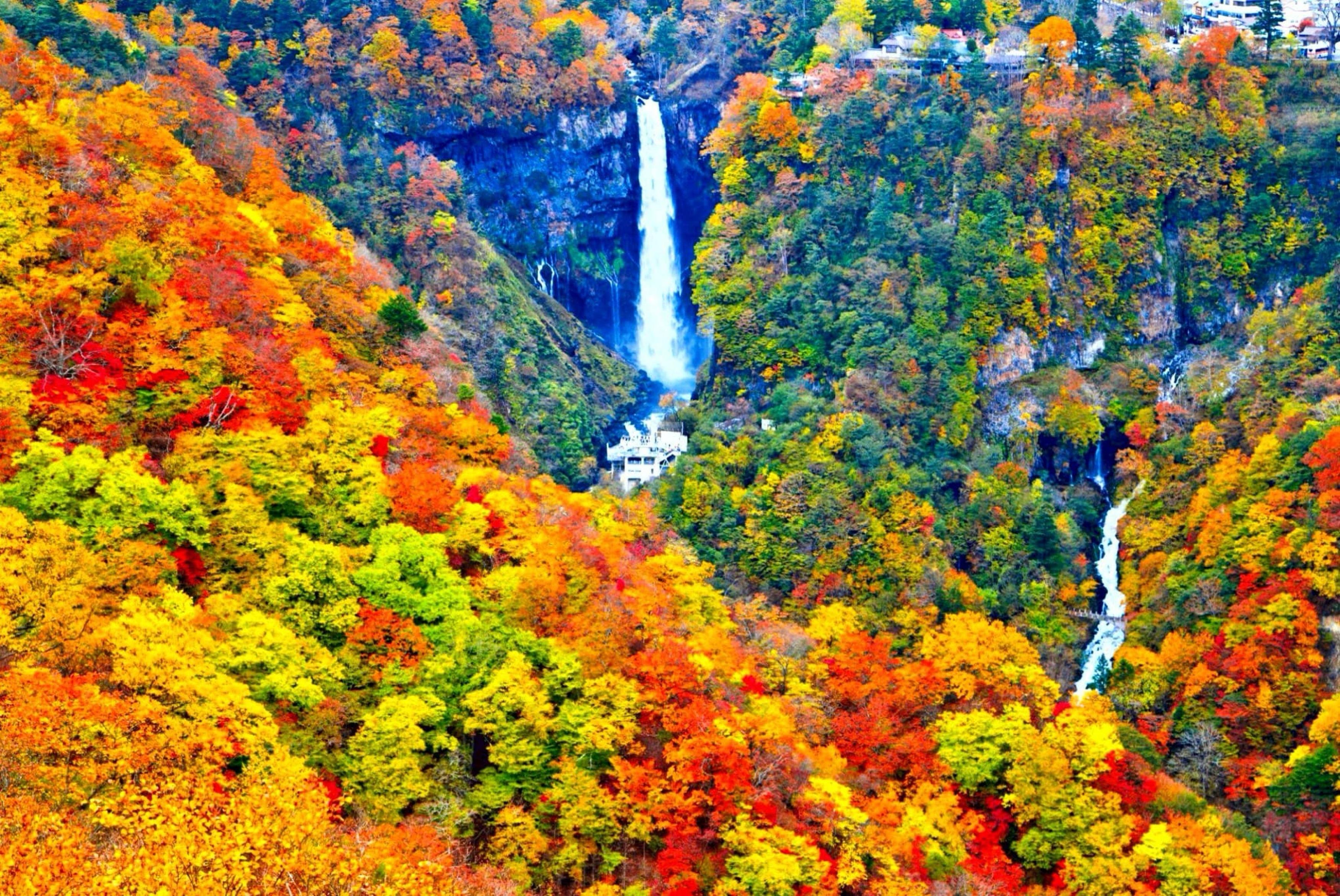 Nikko Photography Day Tour from Tokyo – Private & Customizable