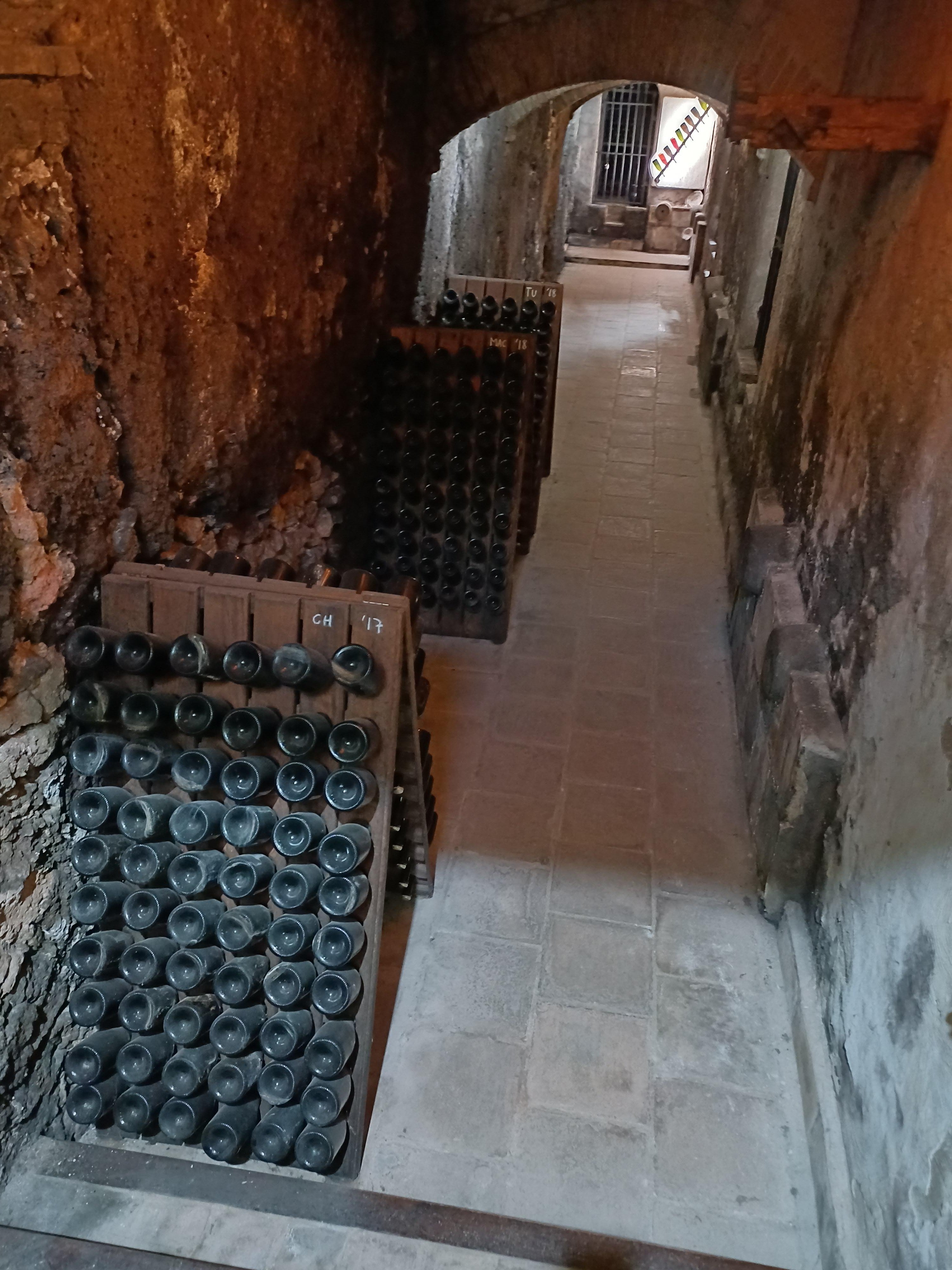 cava tour in Valencia — photo 7