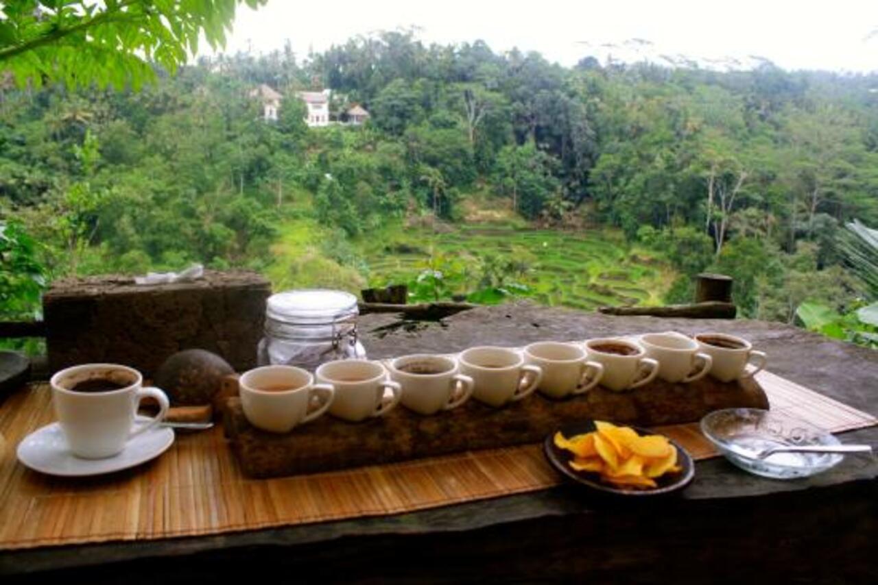 Mount Batur Sunrise Jeep Adventure with Black Lava Tour & Breakfast