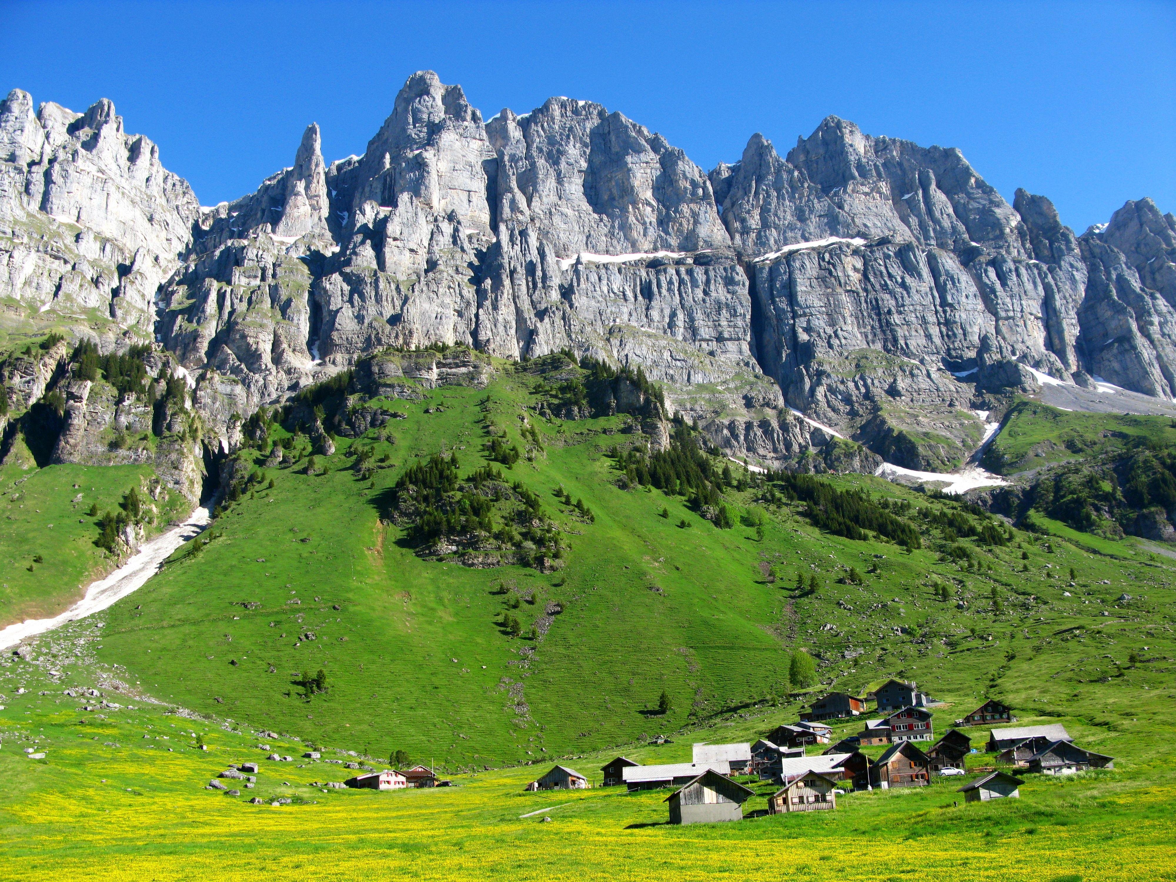 Hidden Alpine Trails & Snowshoe Adventure
