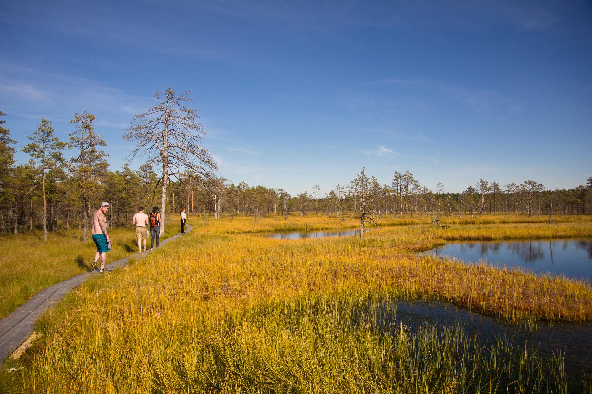 Estonian Countryside and Lahemaa Day Trip from Tallinn