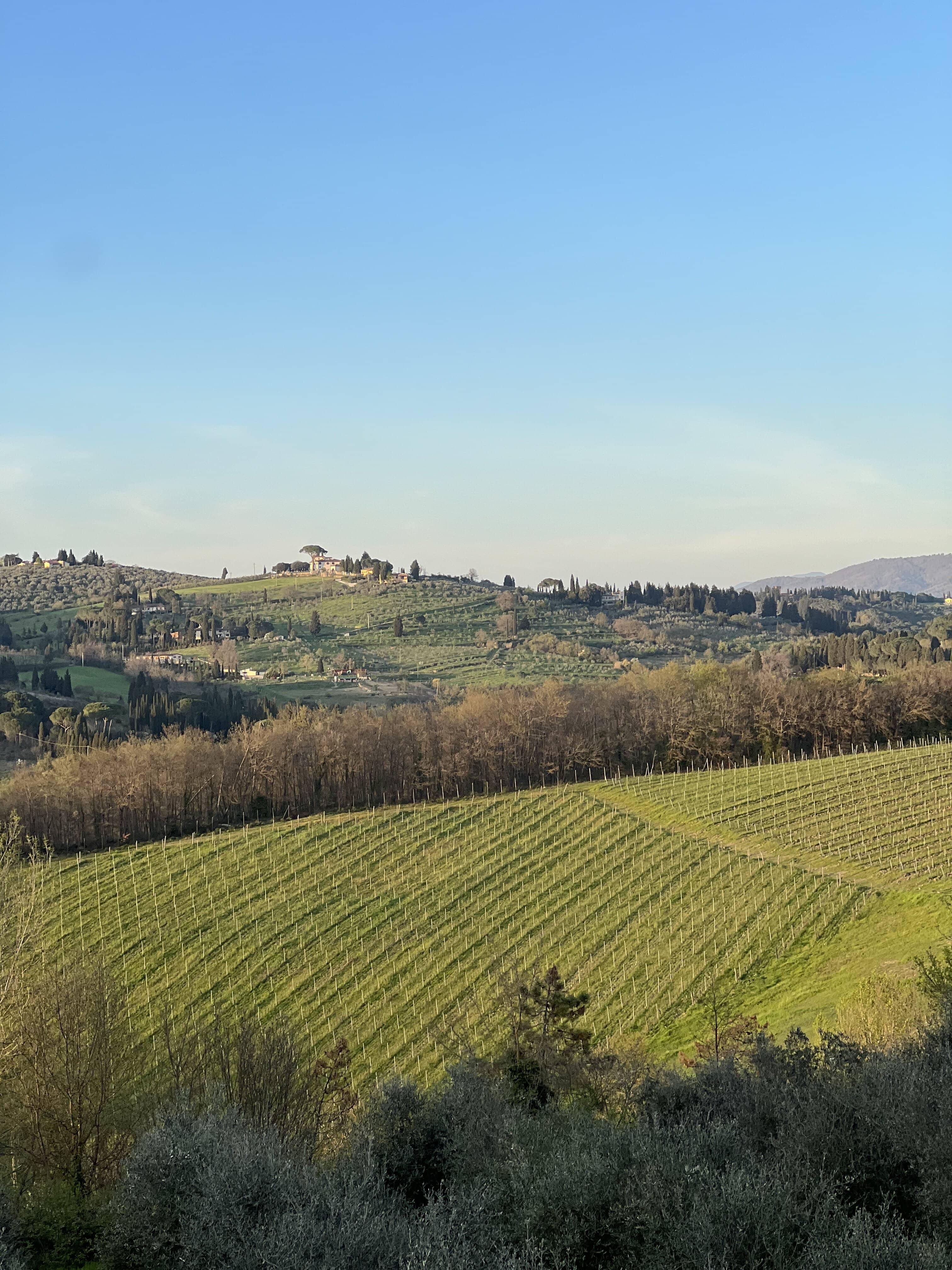 truffle hunting in Umbria — photo 22
