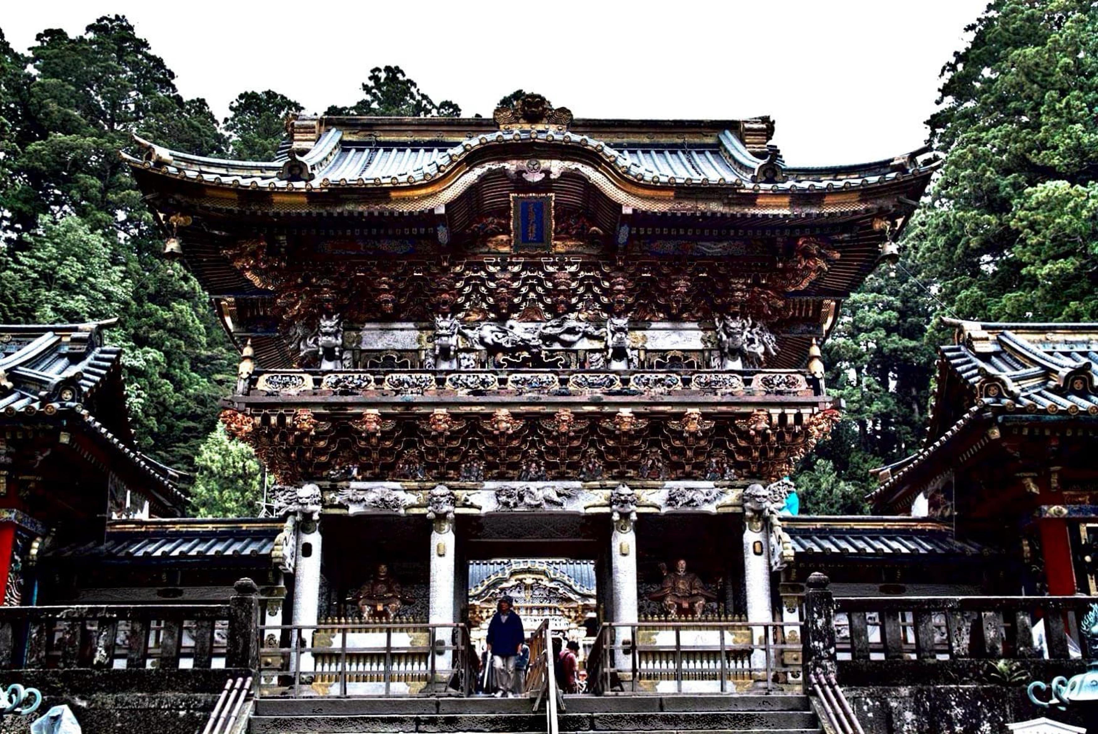 Nikko Photography Day Tour from Tokyo – Private & Customizable