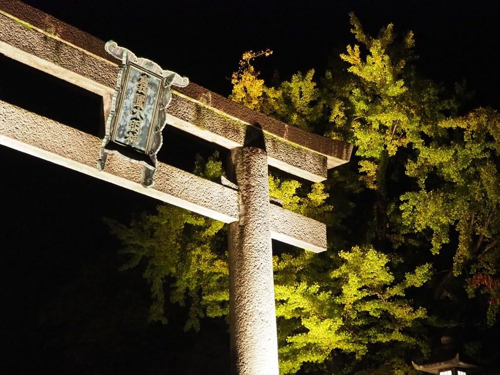 Osaka experience, image 12