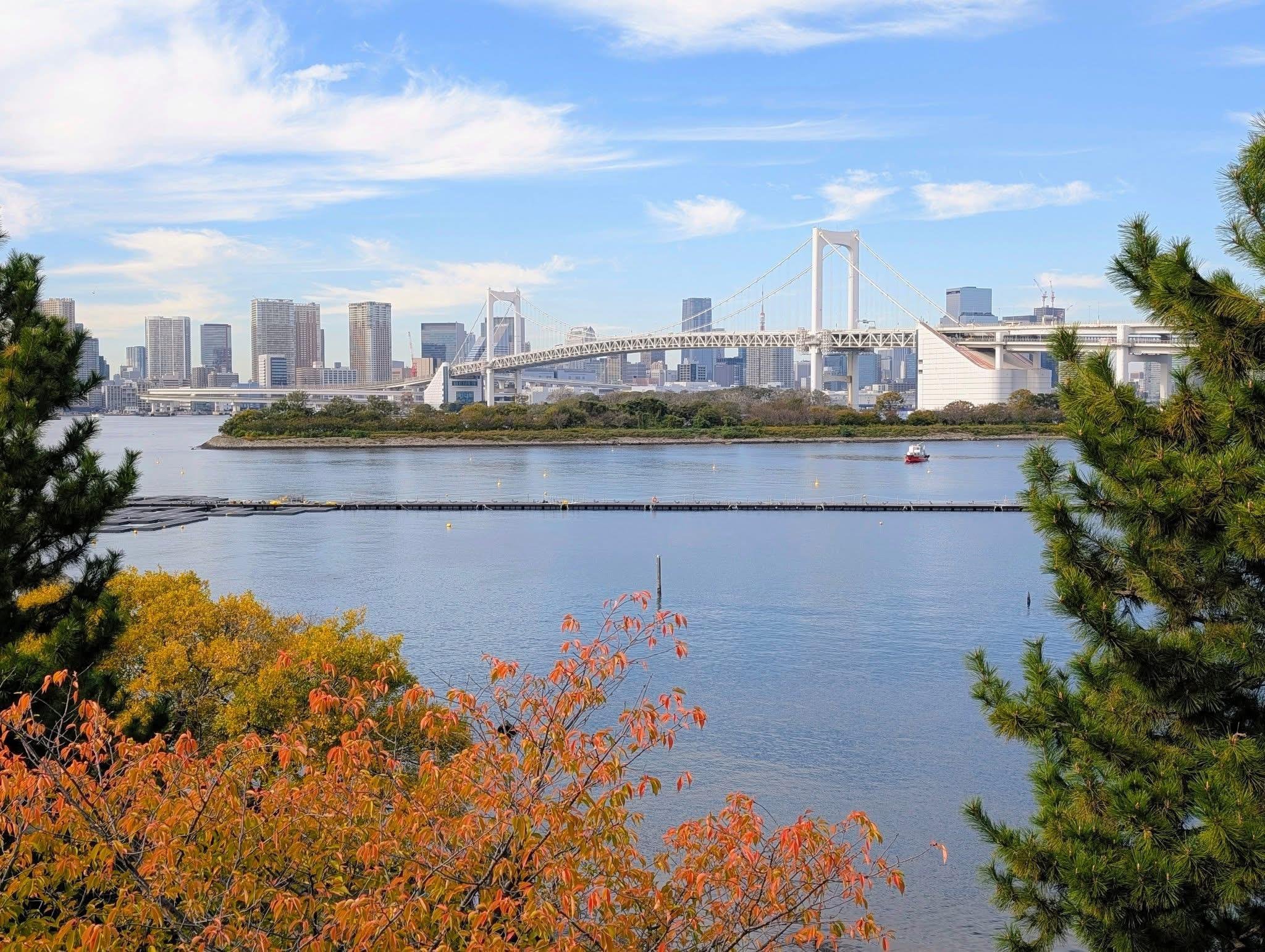 Tokyo Private Full-Day City Tour — Custom Itinerary with English Guide