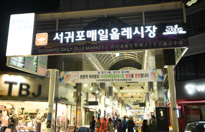 Jeju private car charter — image 28