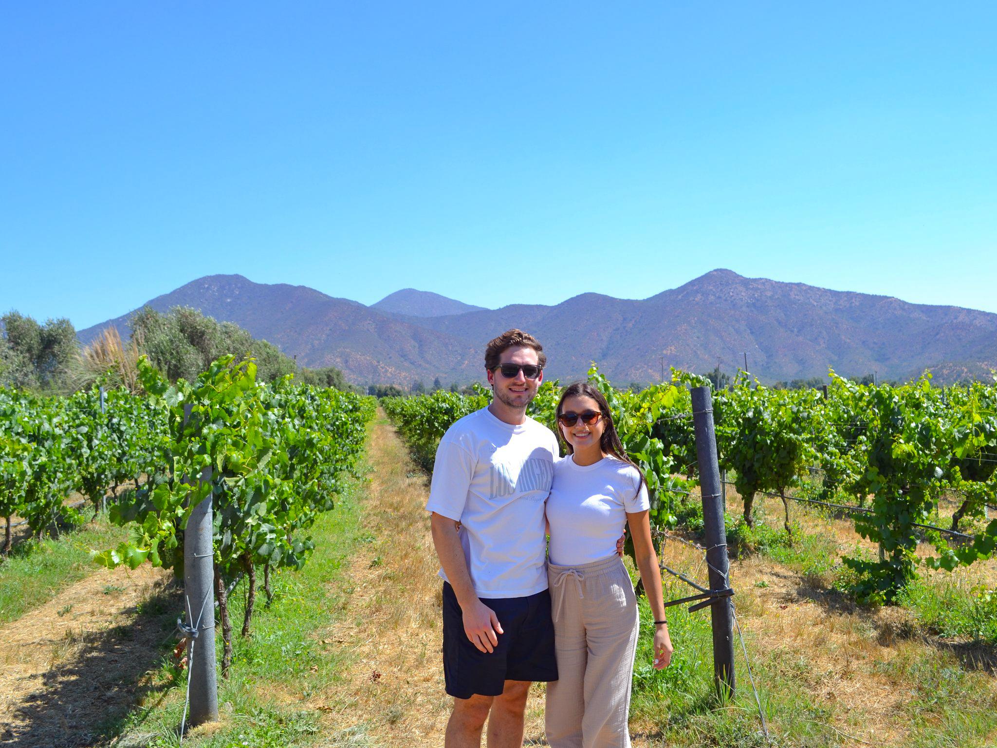 Valparaíso wine tour, the Casablanca Valley and Valparaíso's hills — image 11